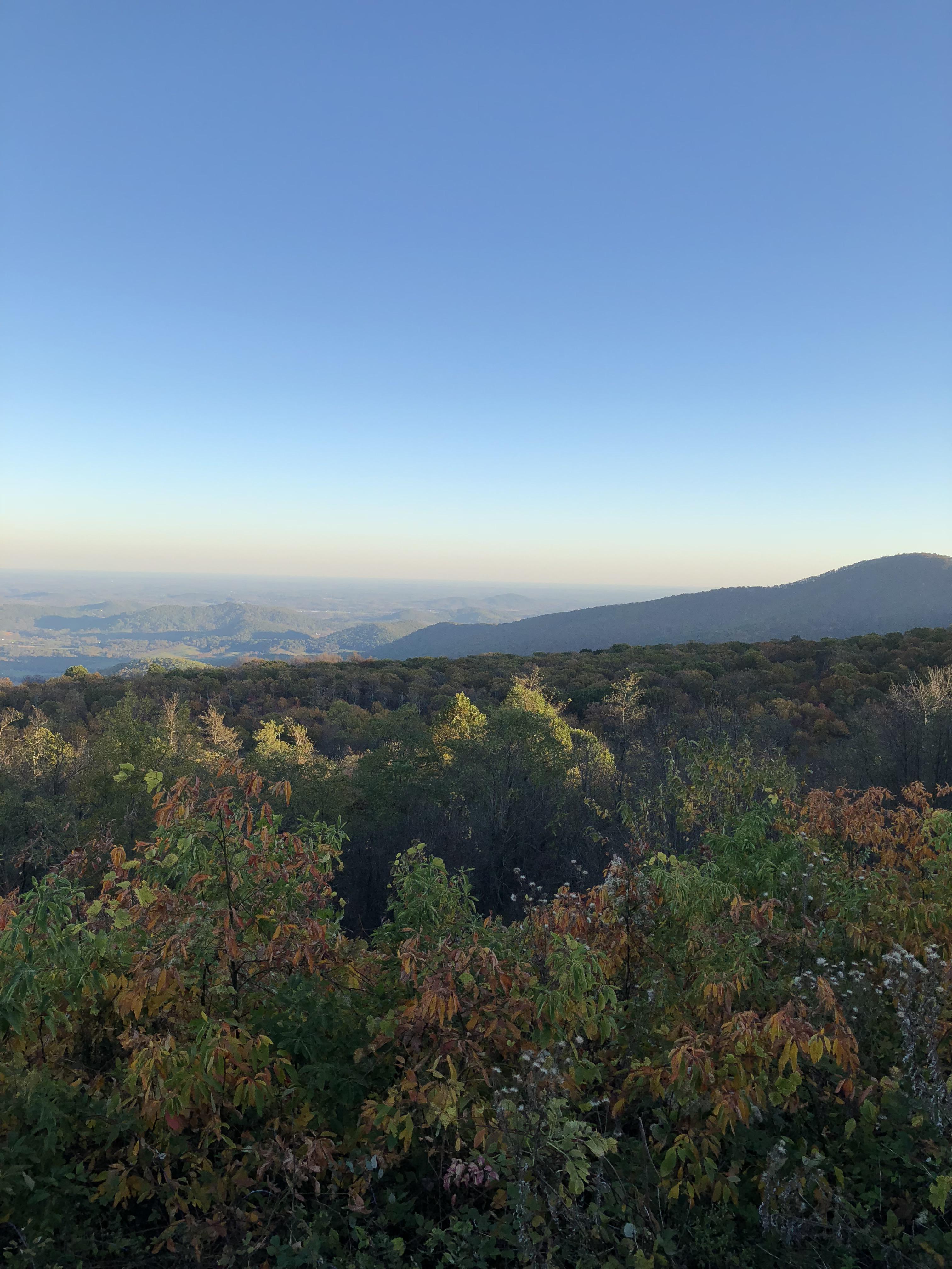 Traveled to the Shenandoah mountains, such a great view! r/Virginia