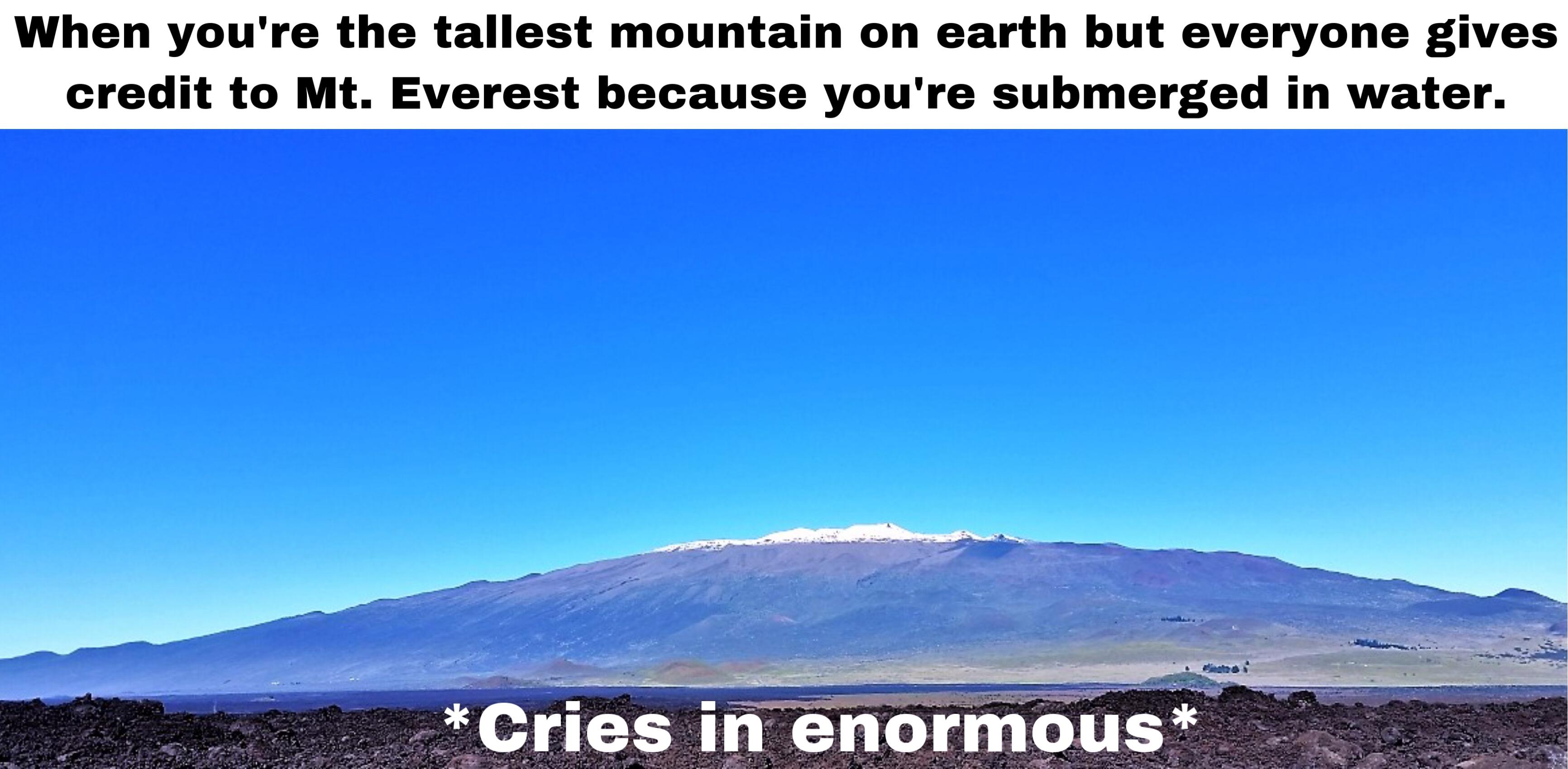 28+ Funny Memes About Everest Factory Memes