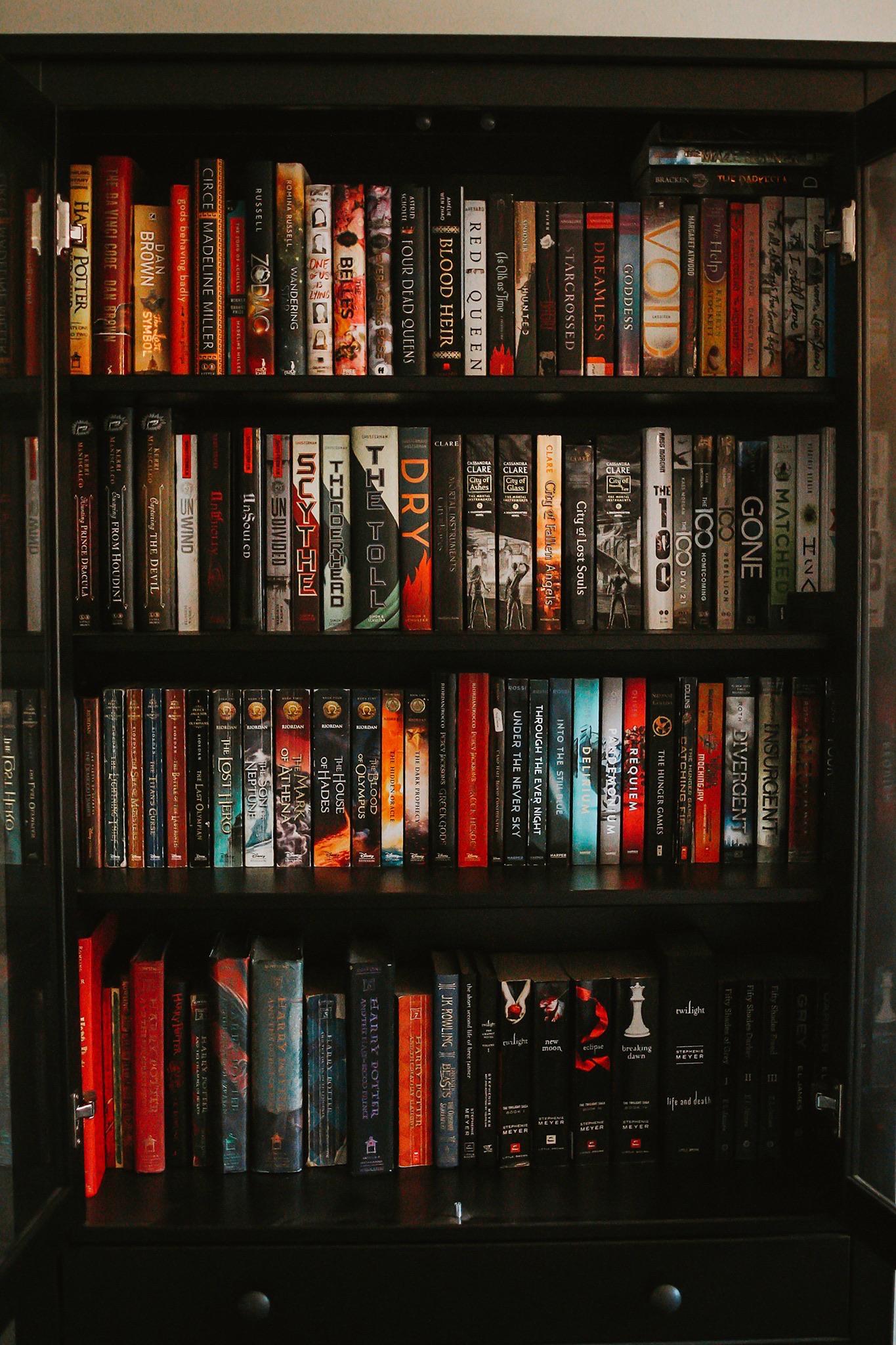 Seeing this makes me realize I own a lot of red/orange books r/bookshelf