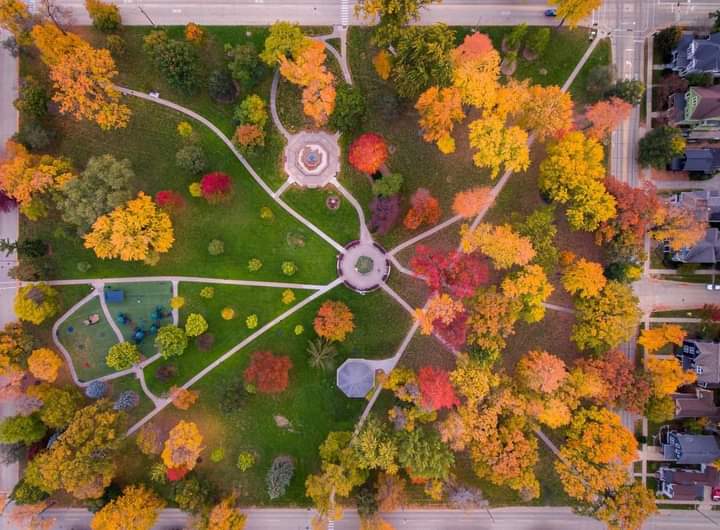 Aerial view of Appleton City Park r/beautifultrees