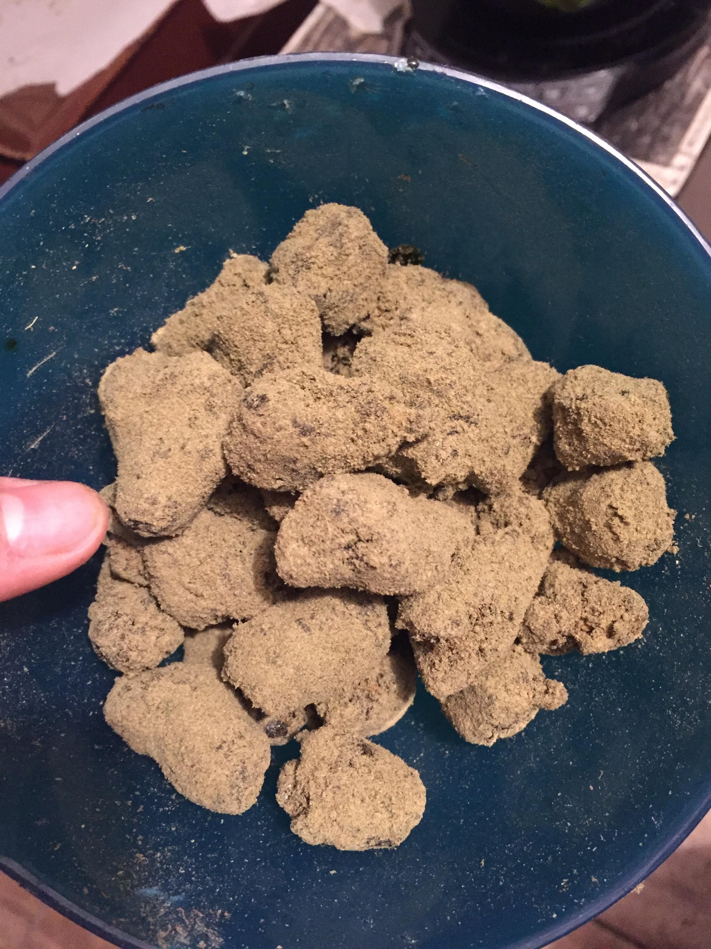 Homemade moon rocks r/trees