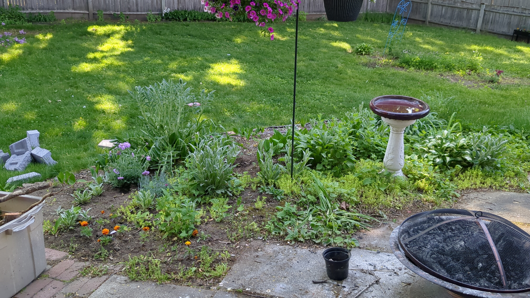 How to remulch this garden r/landscaping