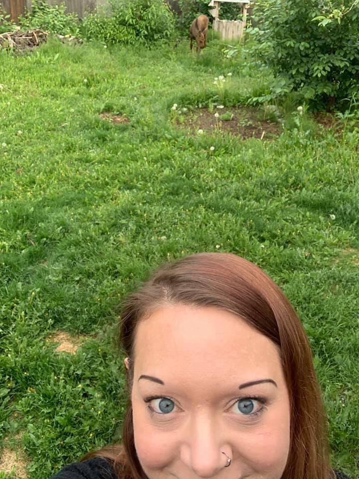 Was supposed to be looking at the baby moose all I could focus on was