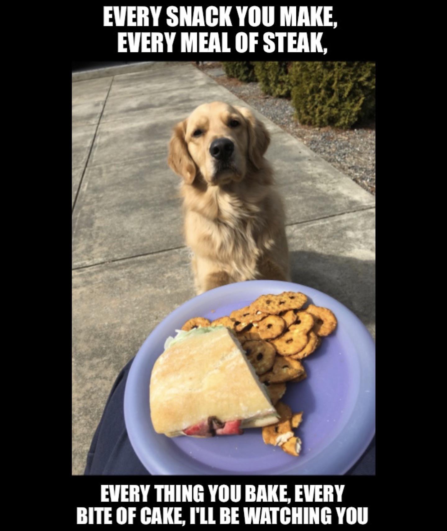 Every snack you make, every meal of steak, everything you beak, every