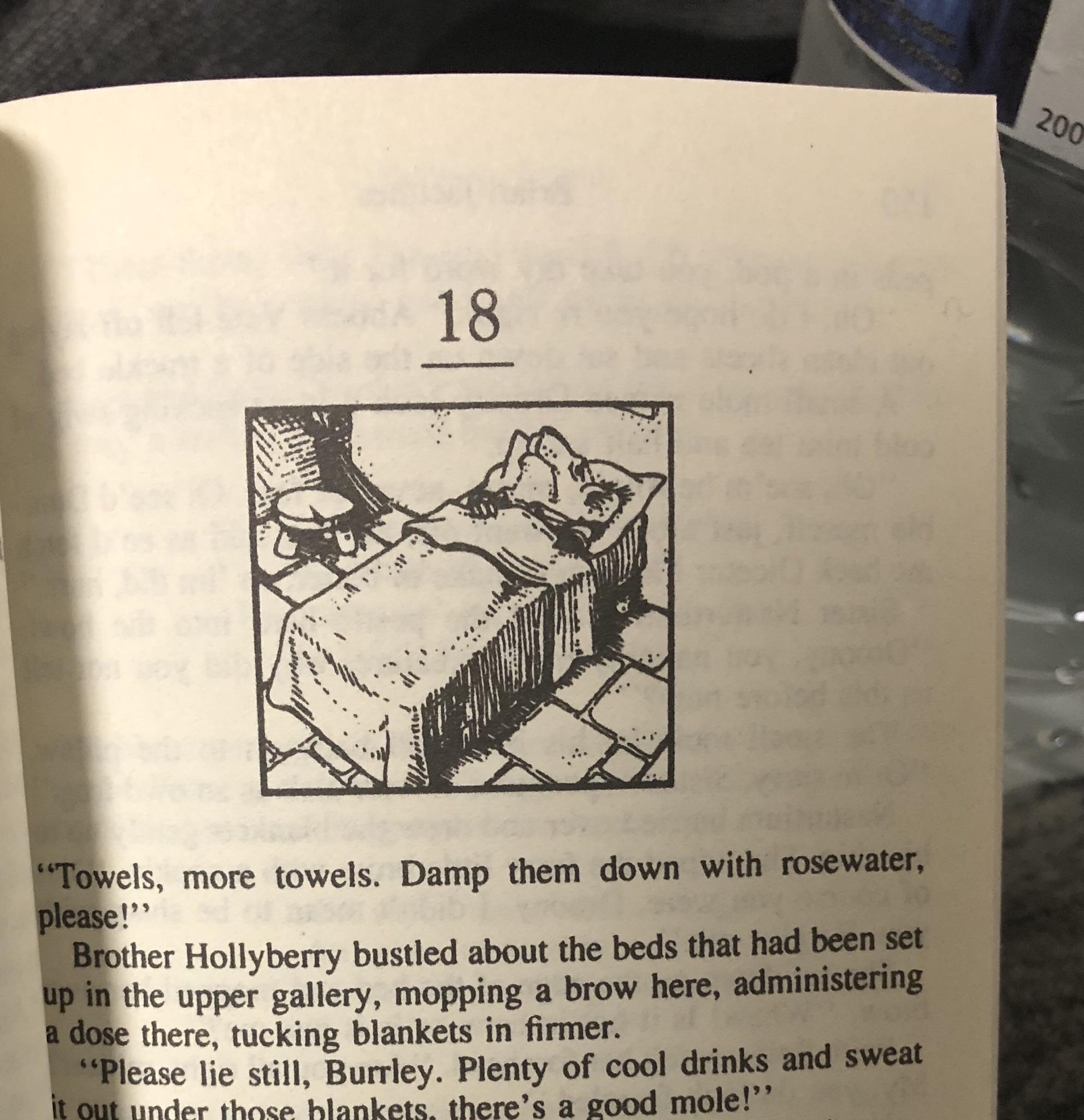 Of all the Redwall books to choose to read in quarantine I had to pick