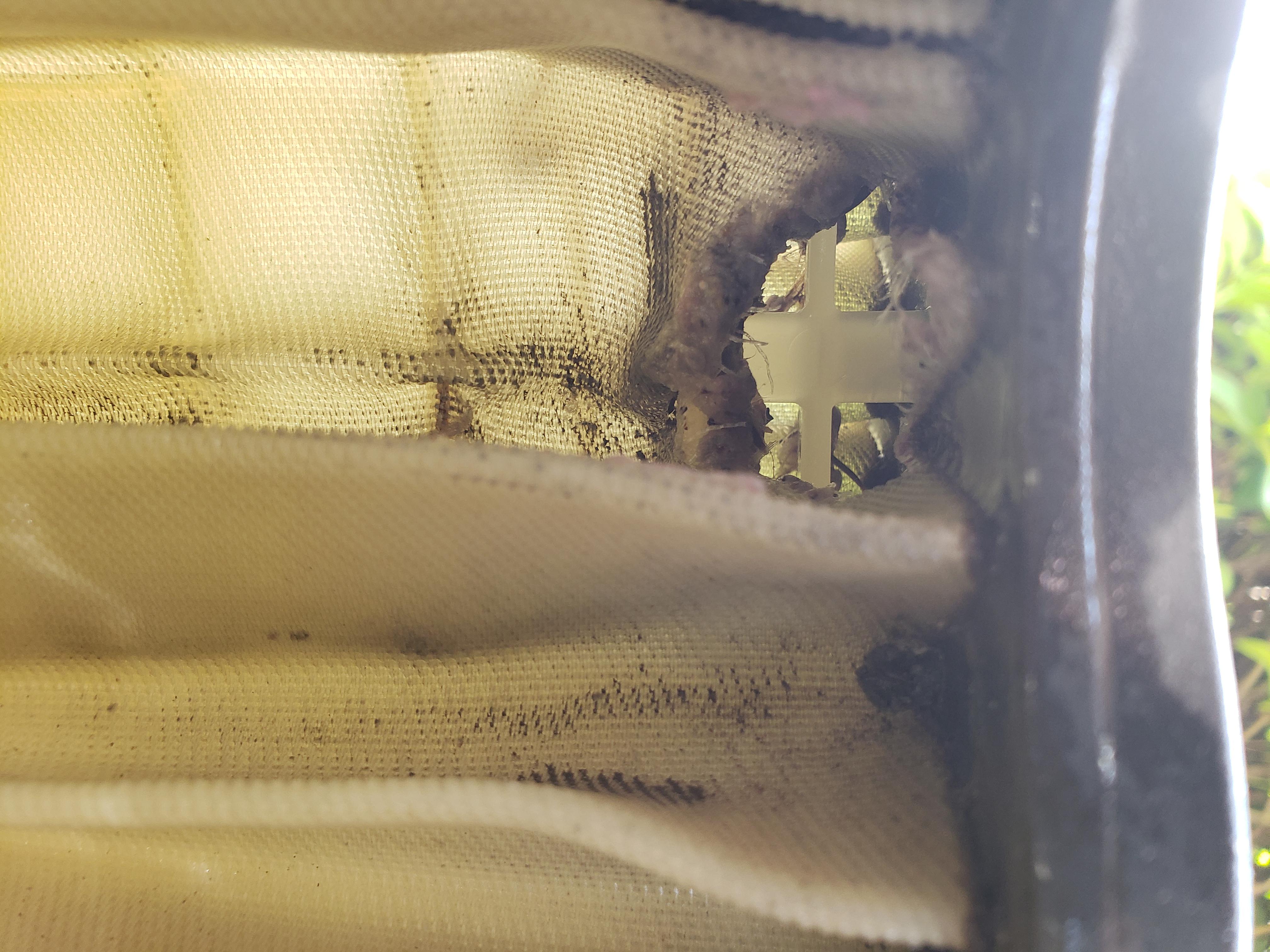 So... this is what a Ripped Modular DE filter looks like, right? r/pools