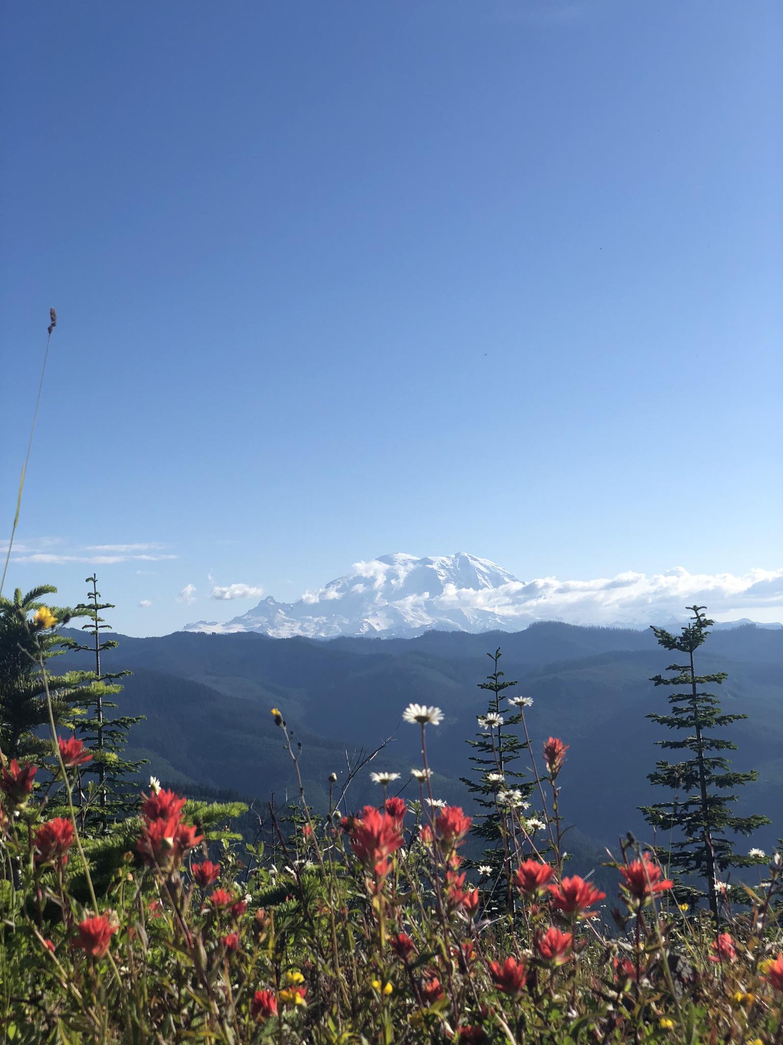 Mt. Rainier mid July r/pics