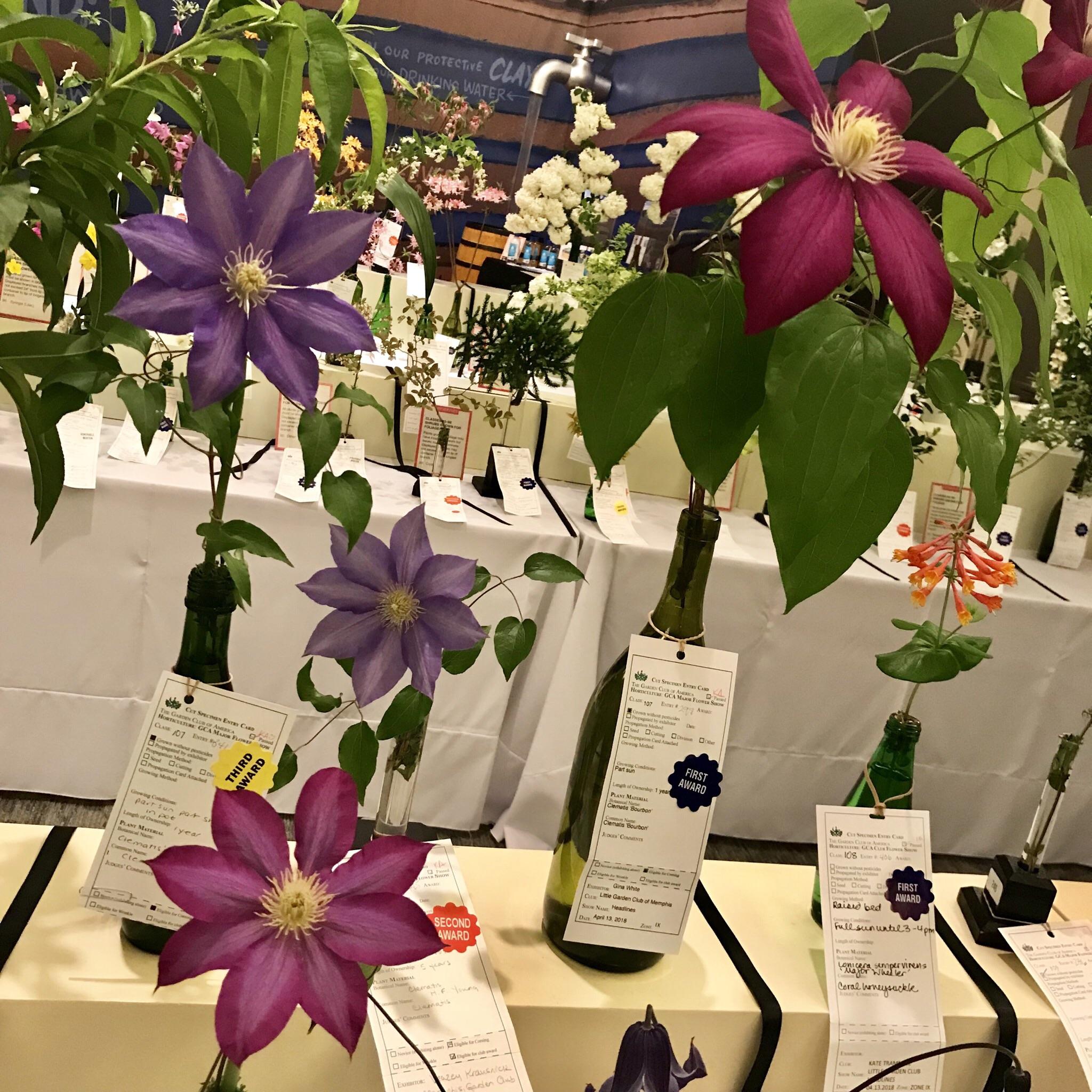 Memphis flower show at the Dixon. r/gardening