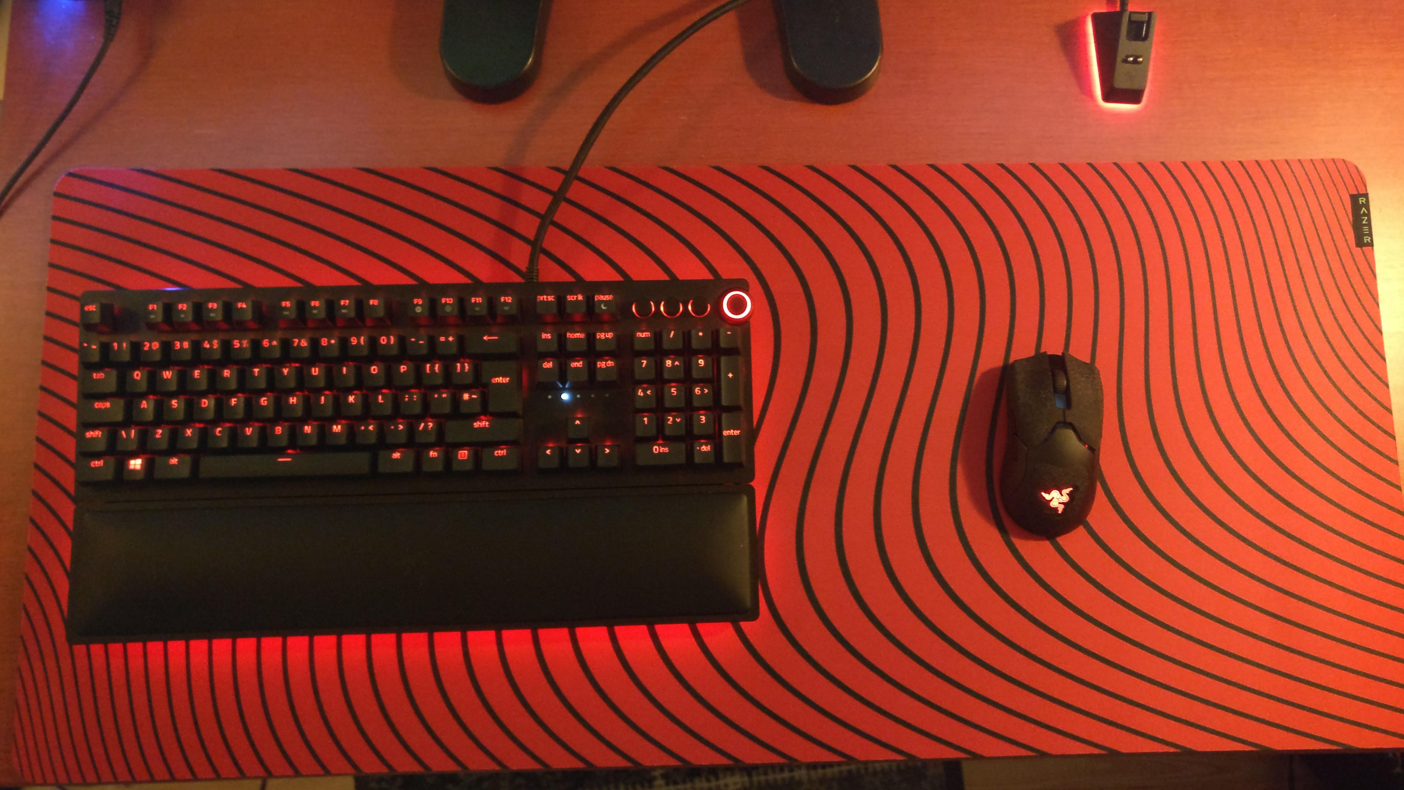 My custom Gigantus V2 finally arrived r/razer