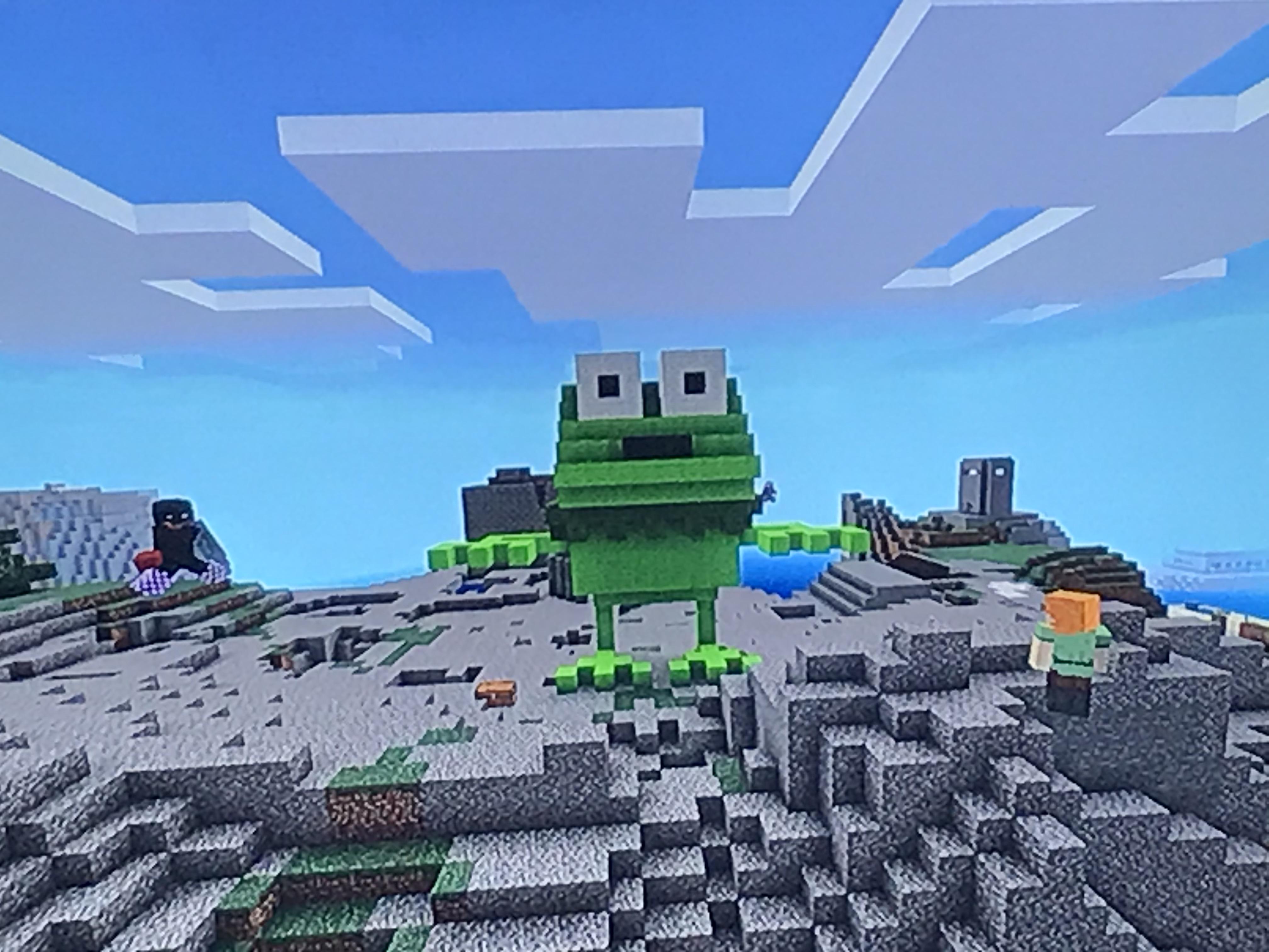 This was on my realm, we called it Kermit craft after hermit craft, my