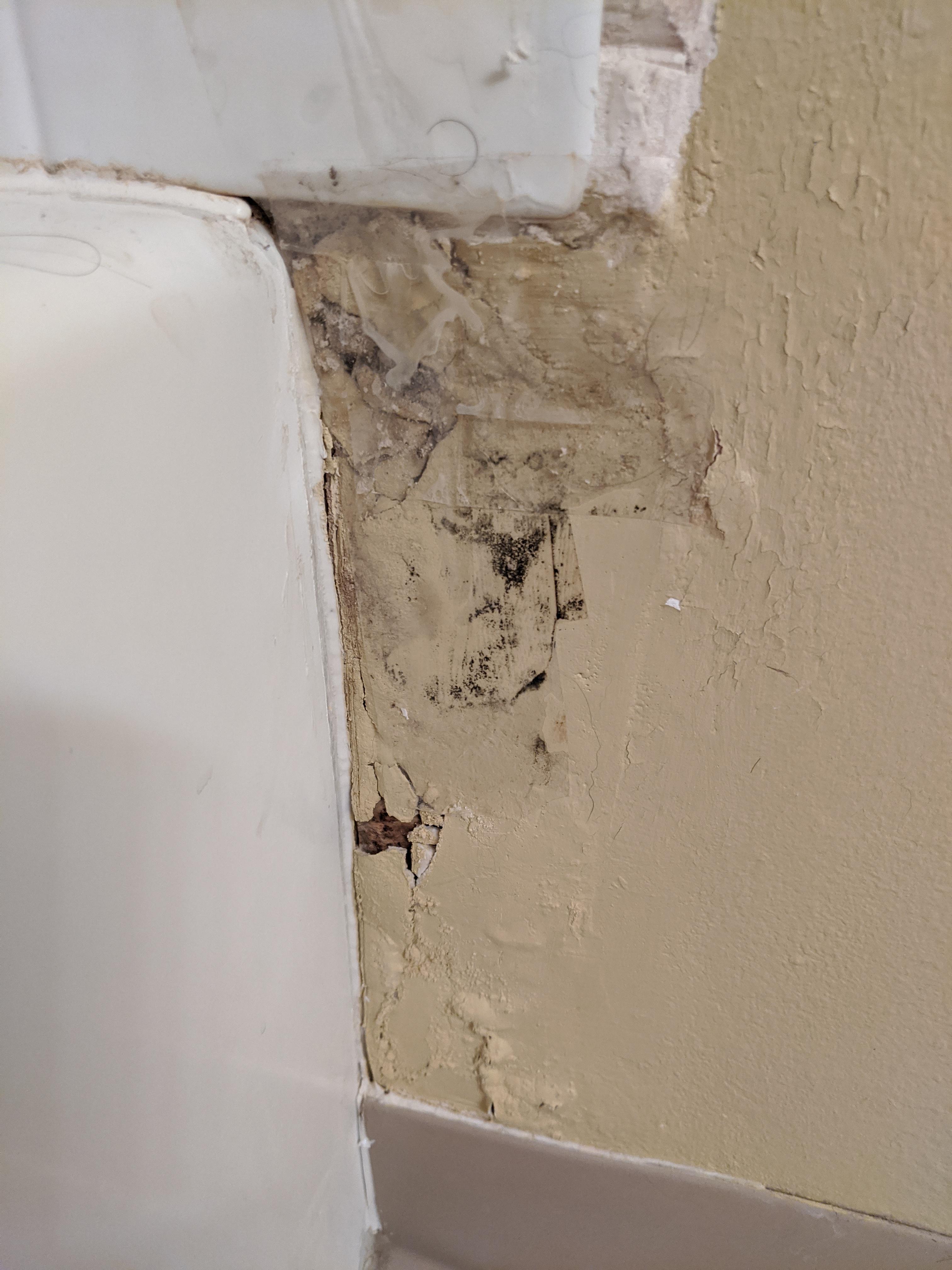 Does this look like black mold? If so, how to clean up? Been noticing a