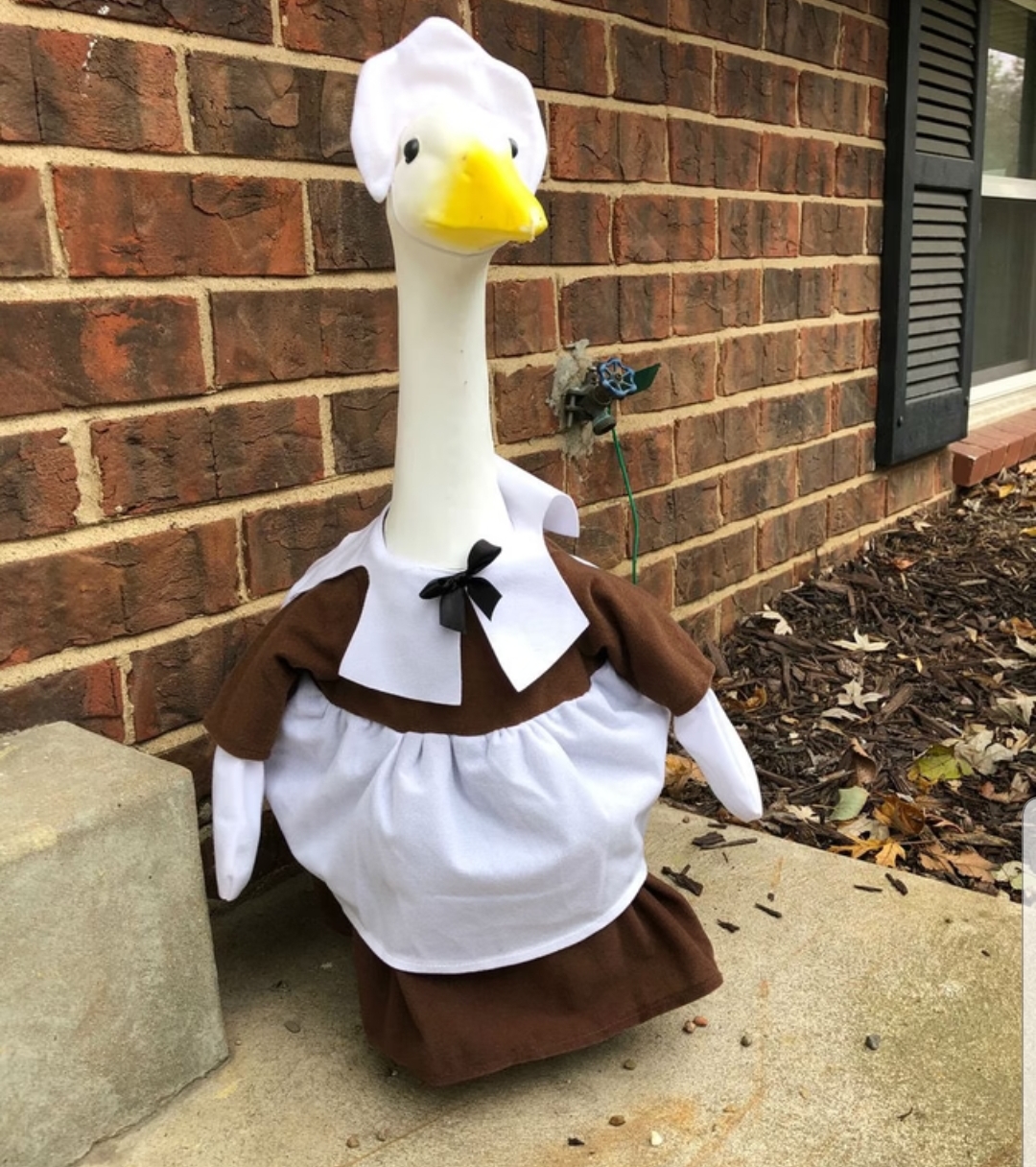 Alright, where can I get a concrete goose around here?? r/Delaware