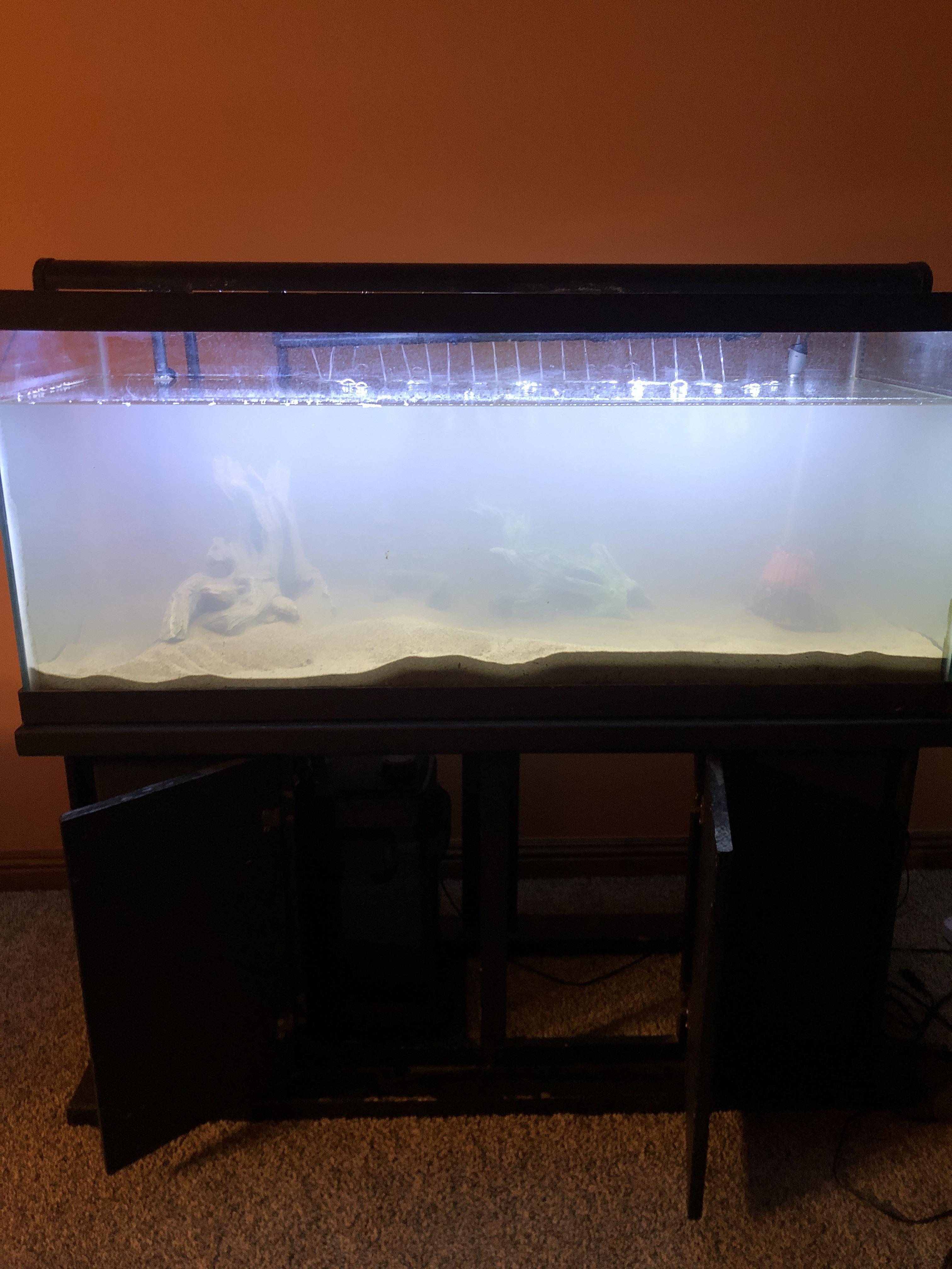 Currently filtering the dust from the sand in my 75 gallon tank. No