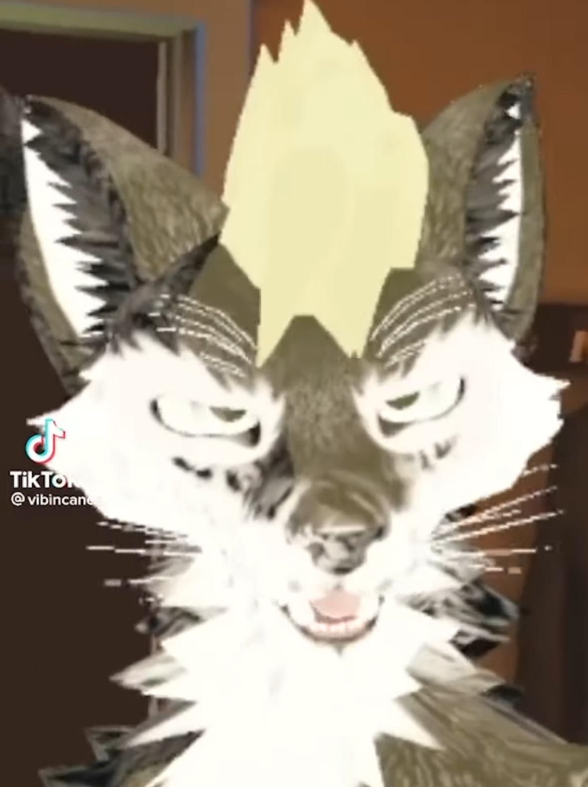 Me when a furry talks about a cheese grater reference I don’t