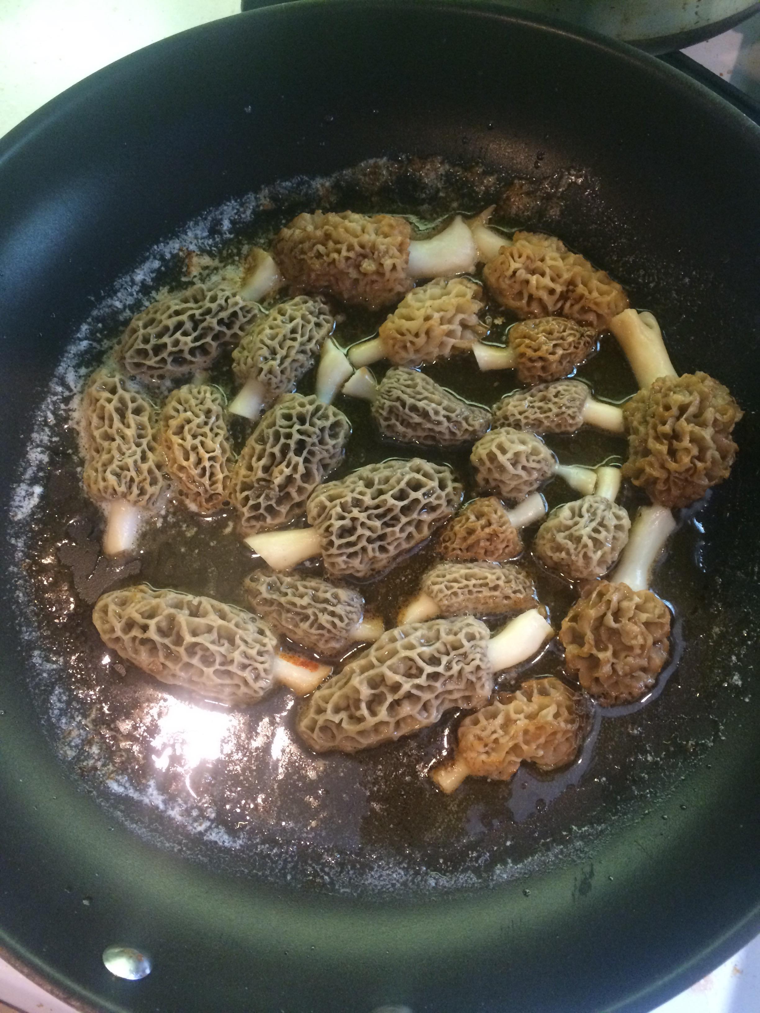 [Homemade] Morel season has begun!! r/food