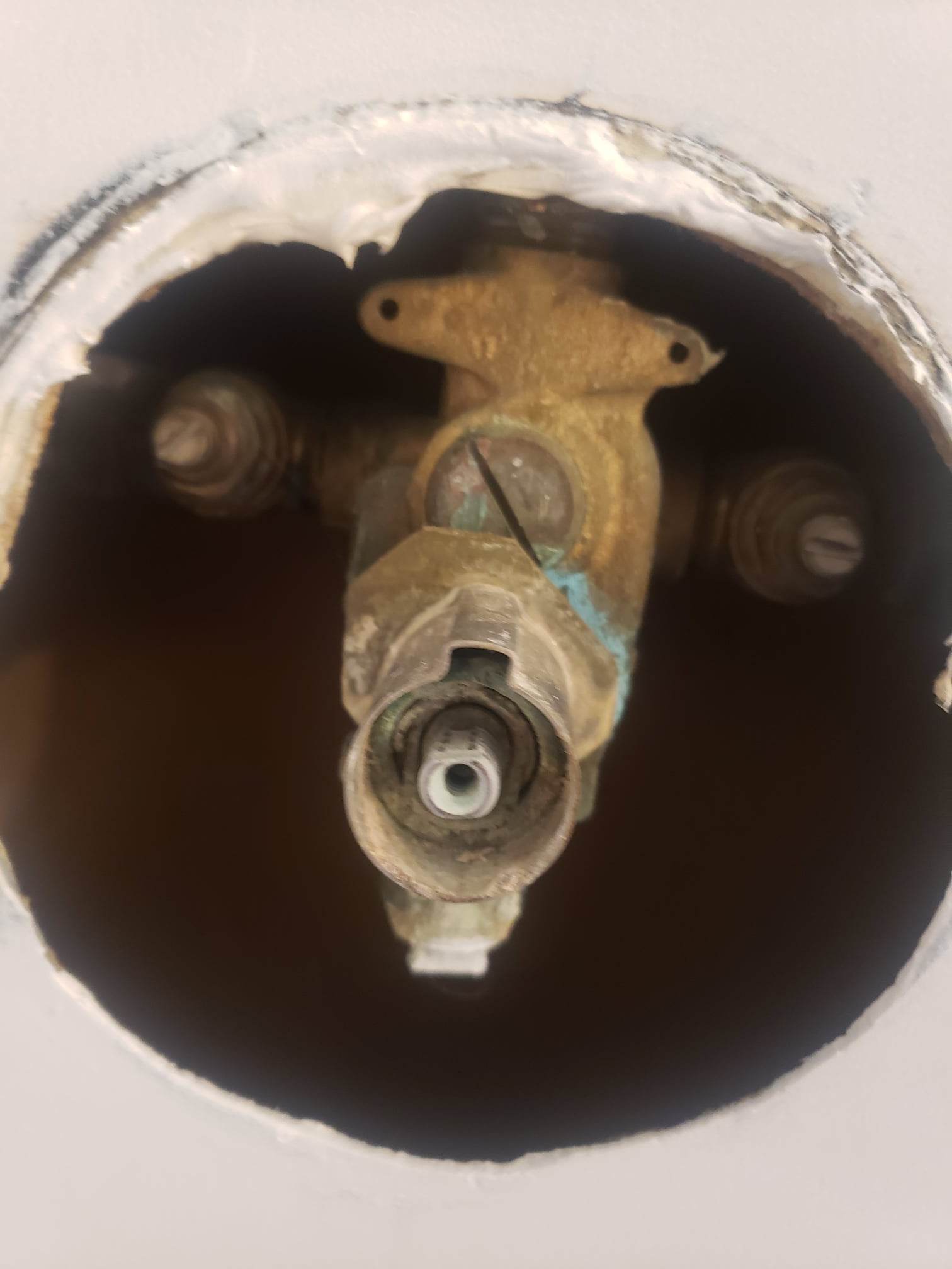 Need help identifying shower trim valve r/Plumbing