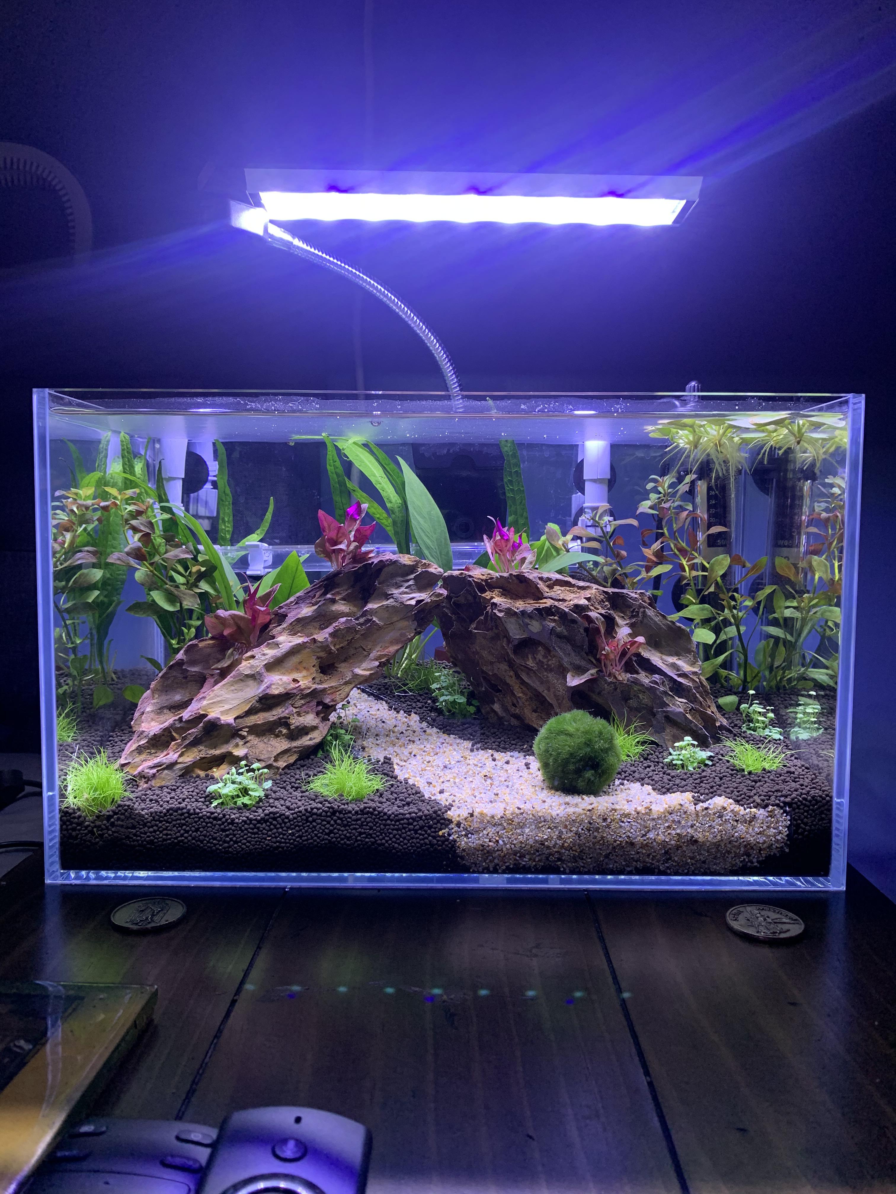 My 5 gallon betta tank ) r/Aquariums