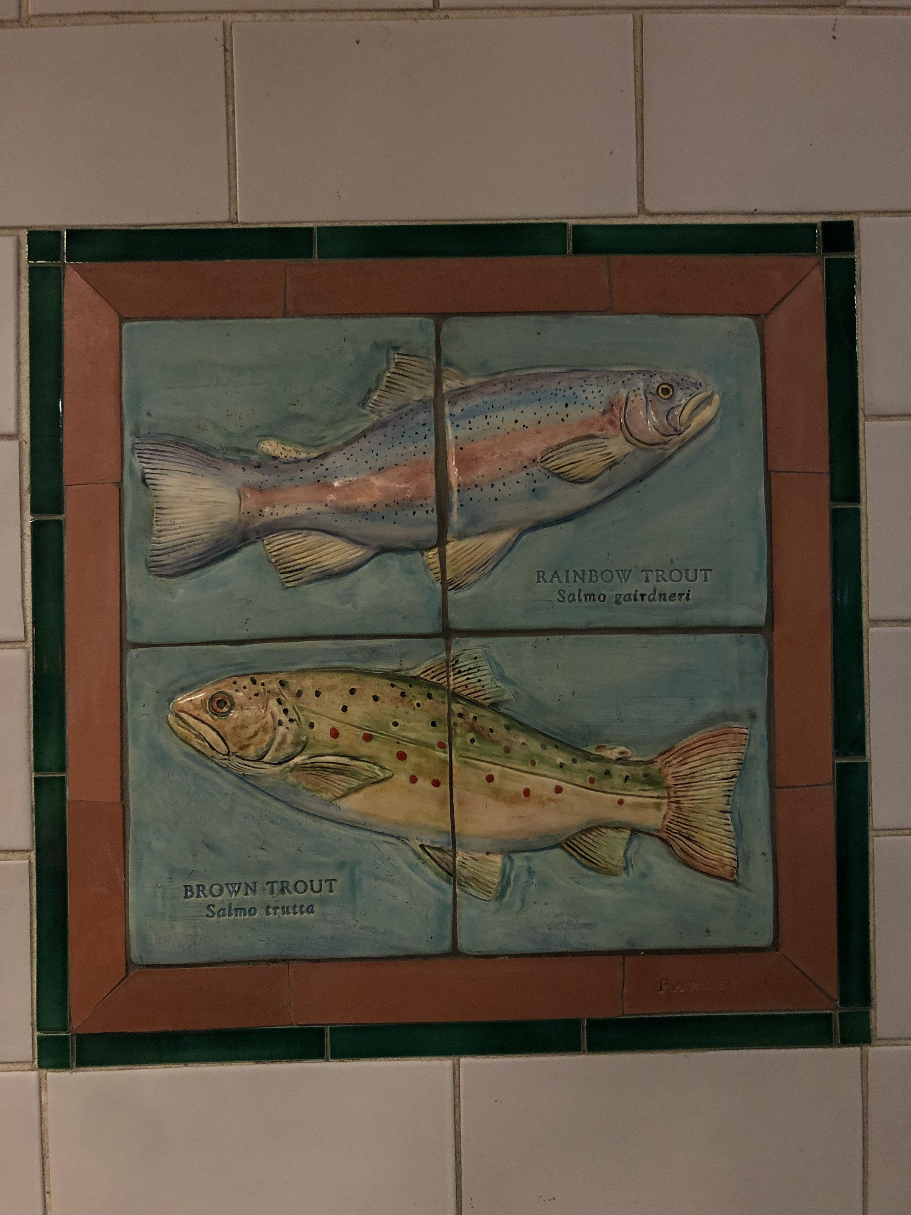 Sloatsburg NY rest stop r/troutfishing
