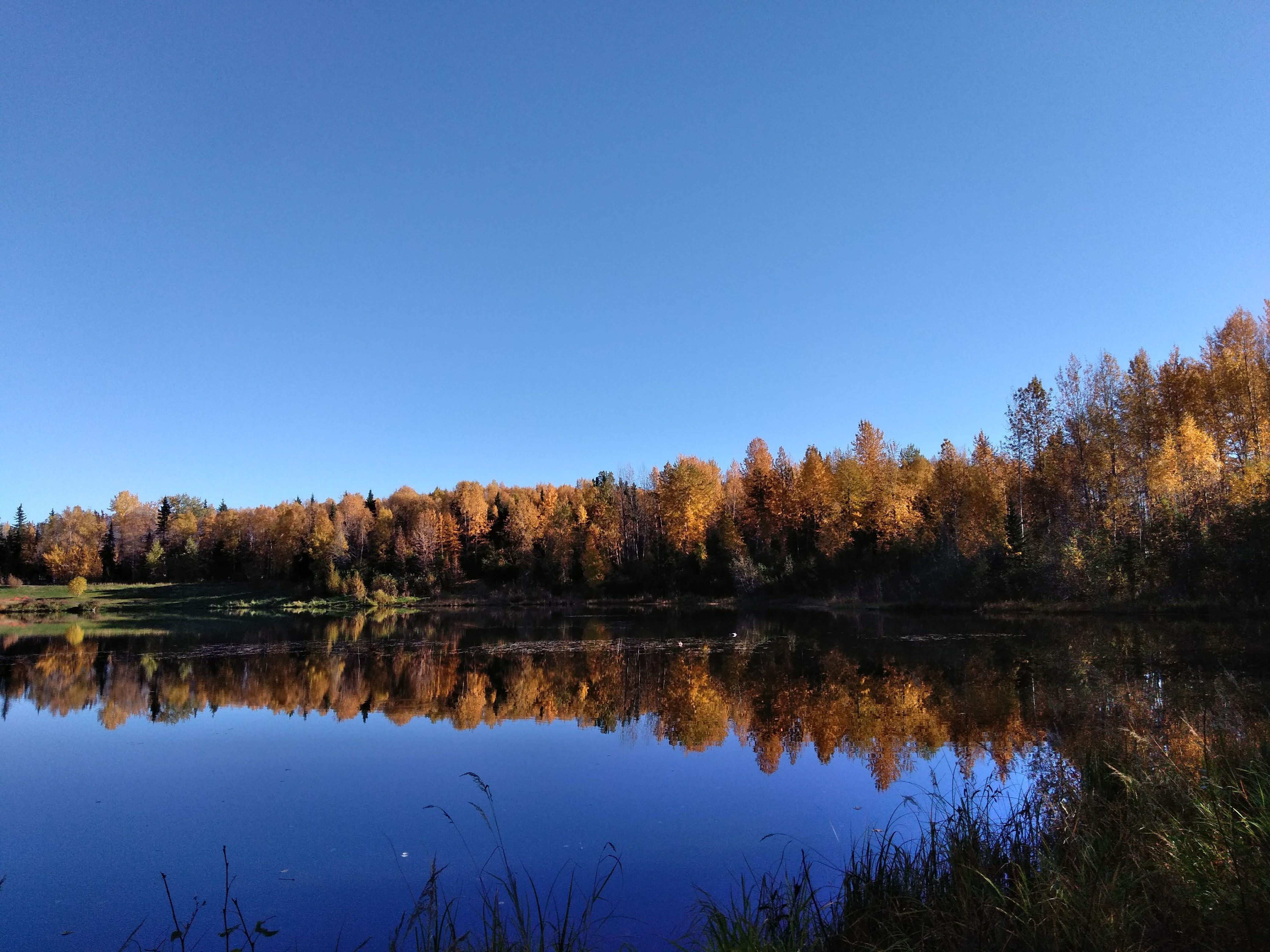 Taku Lake, Anchorage AK (4160x3120) (OC) r/EarthPorn