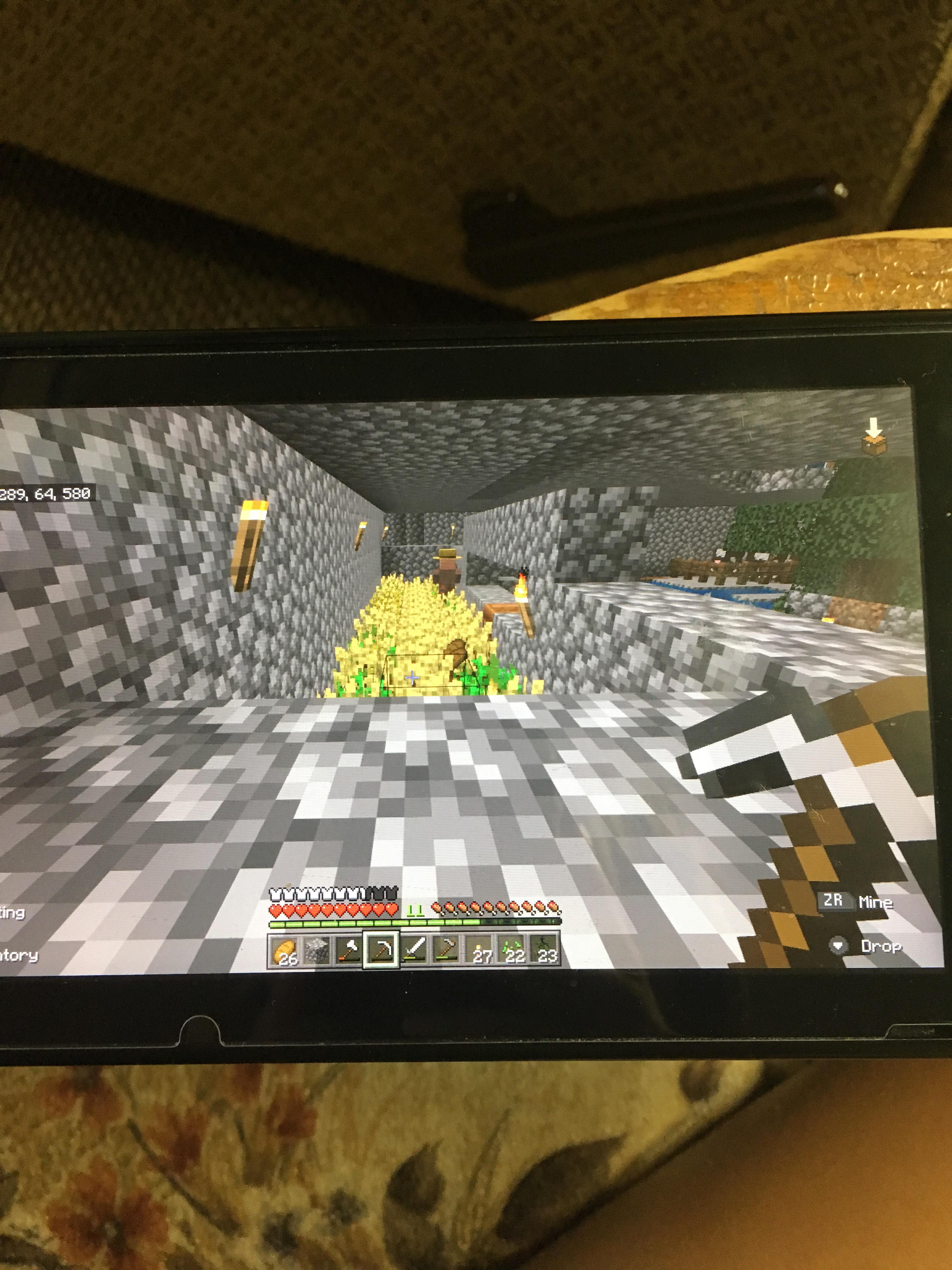 Why won’t this villager farm? r/Minecraft