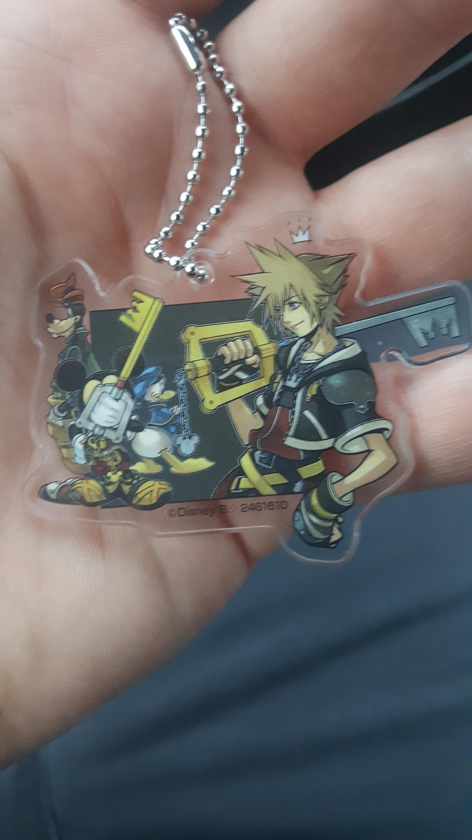 Dope little keychain collectables from gamestop r/KingdomHearts