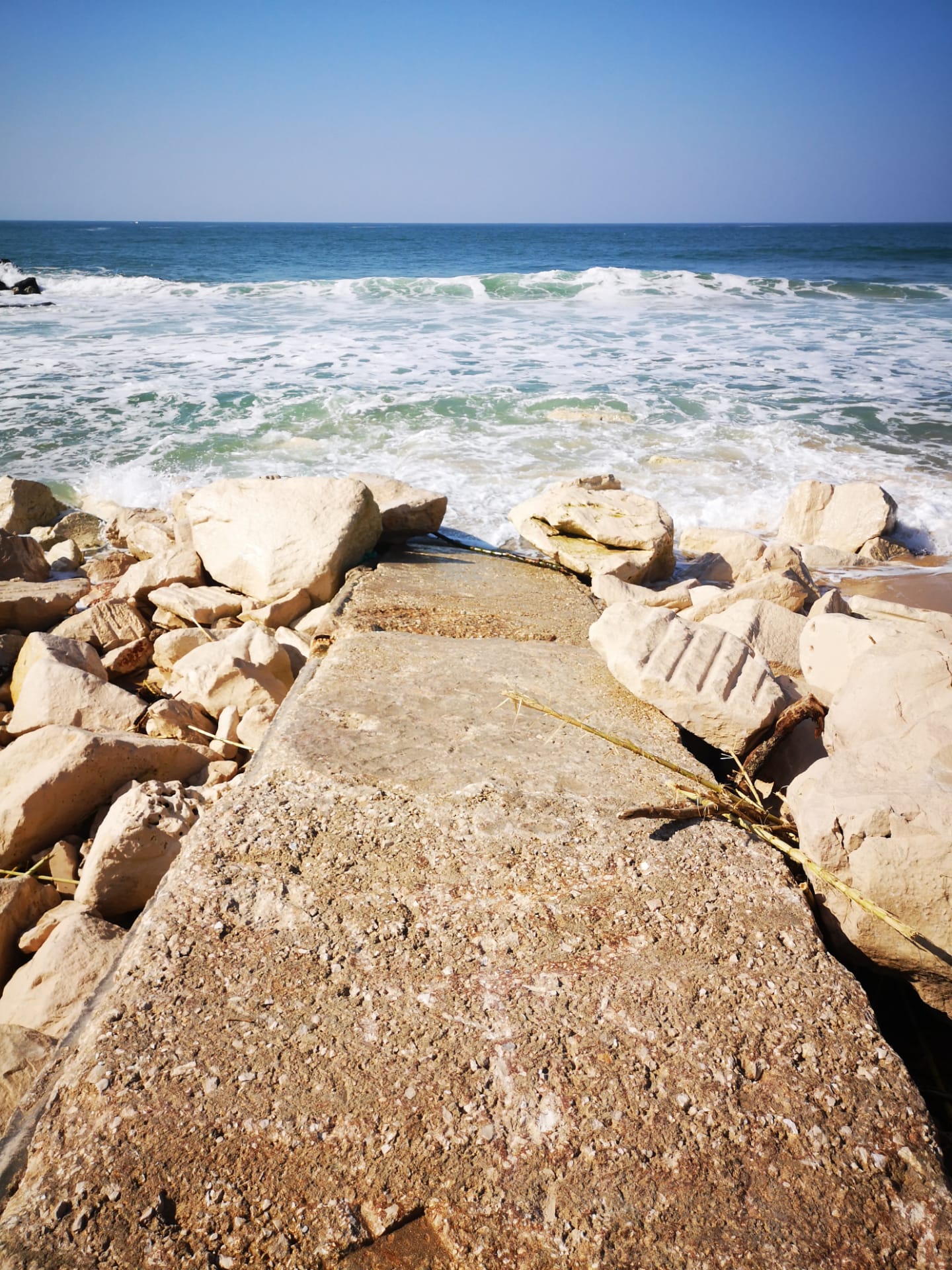Gateway to zen.. Enjoying a wonderfully almost spring day at the beach