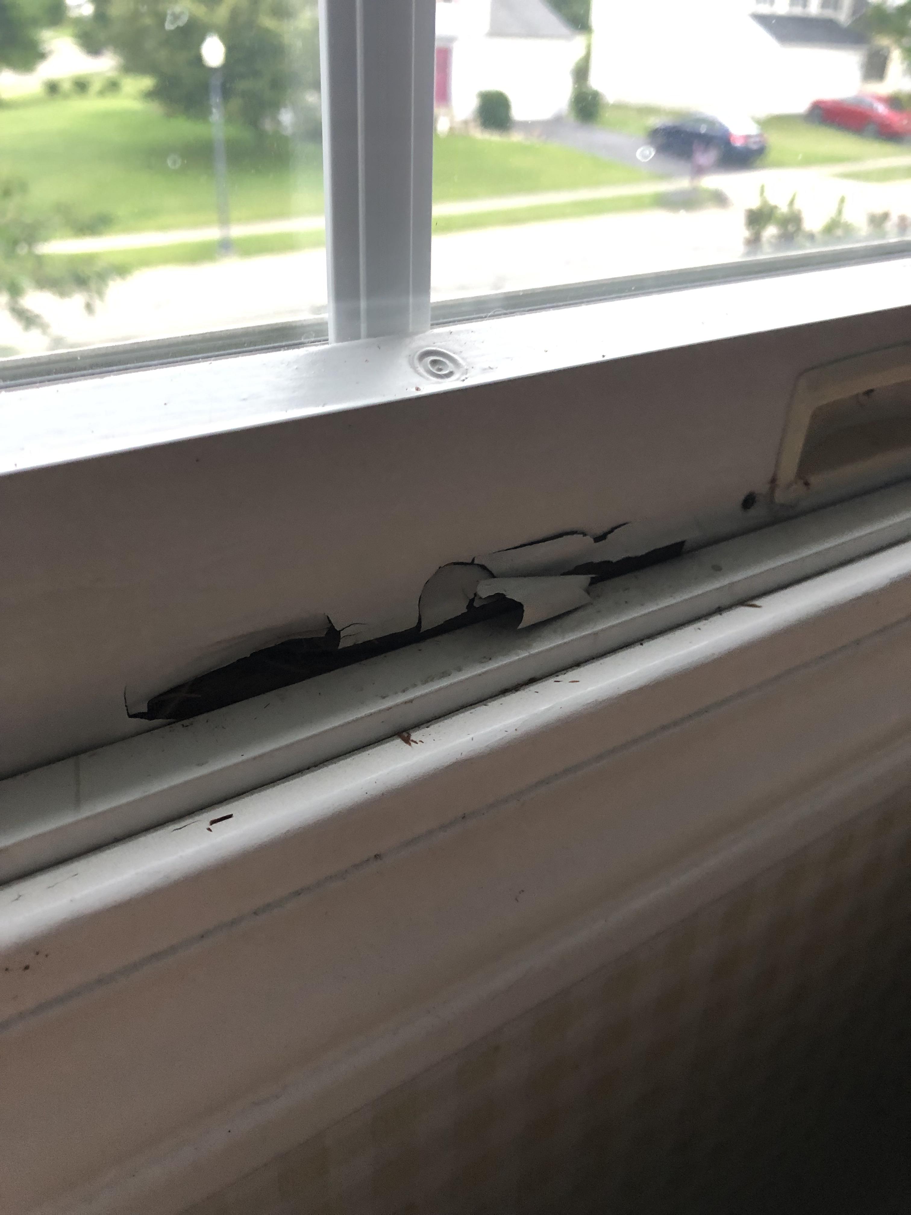 The bottom of my Anderson window is rotting (cheaply made home