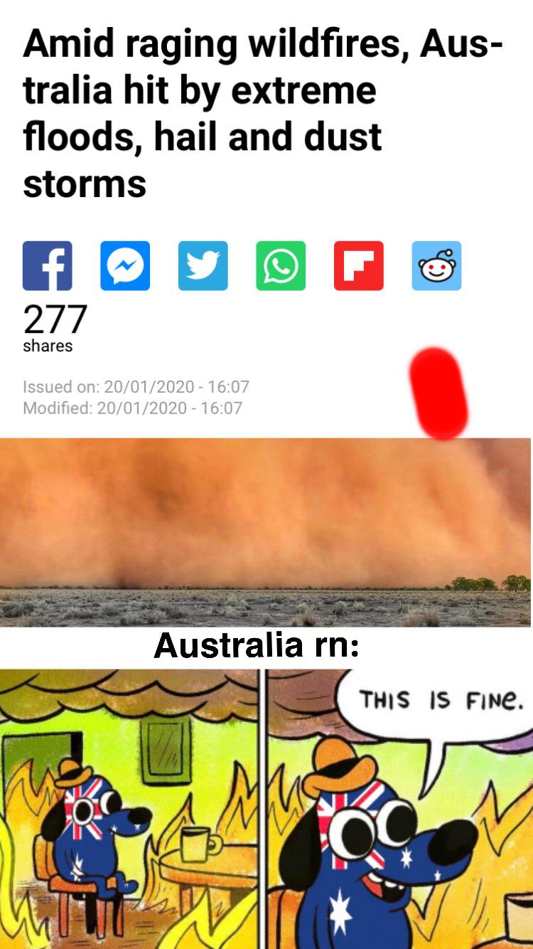 r u ok australia memes