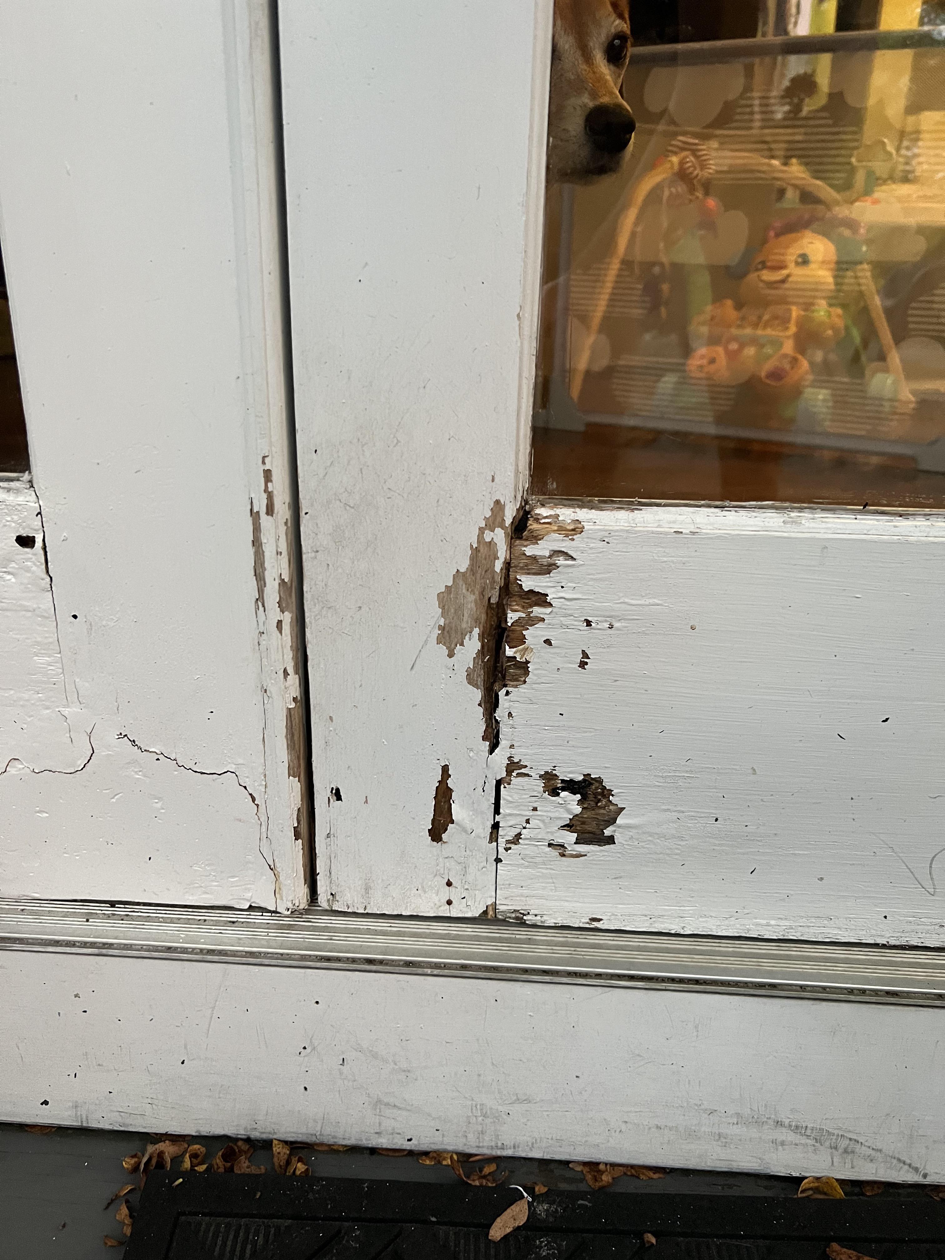 Best way to fix this wood rot on exterior of patio French doors? r
