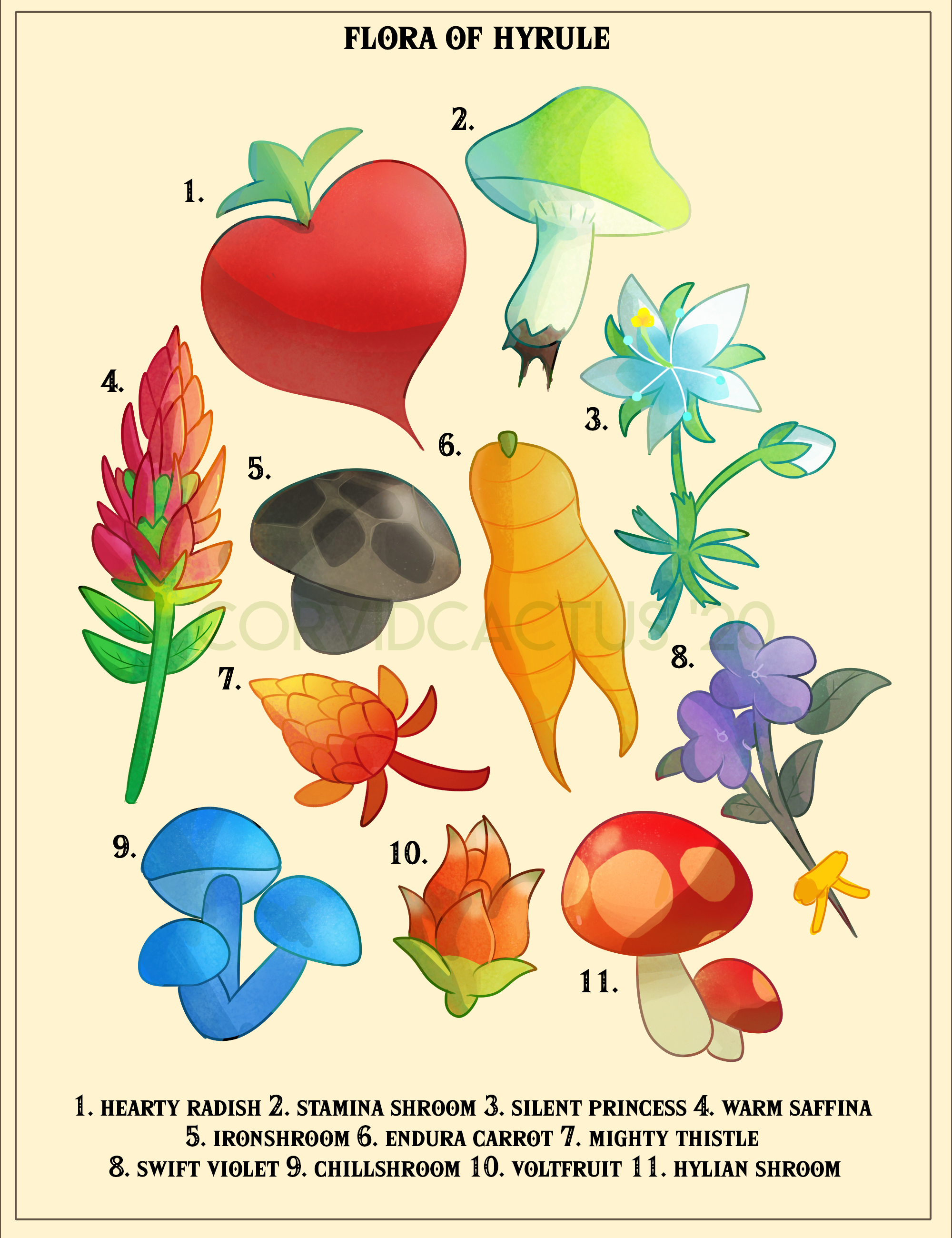I tried to draw one of those botanical posters with some of the plants