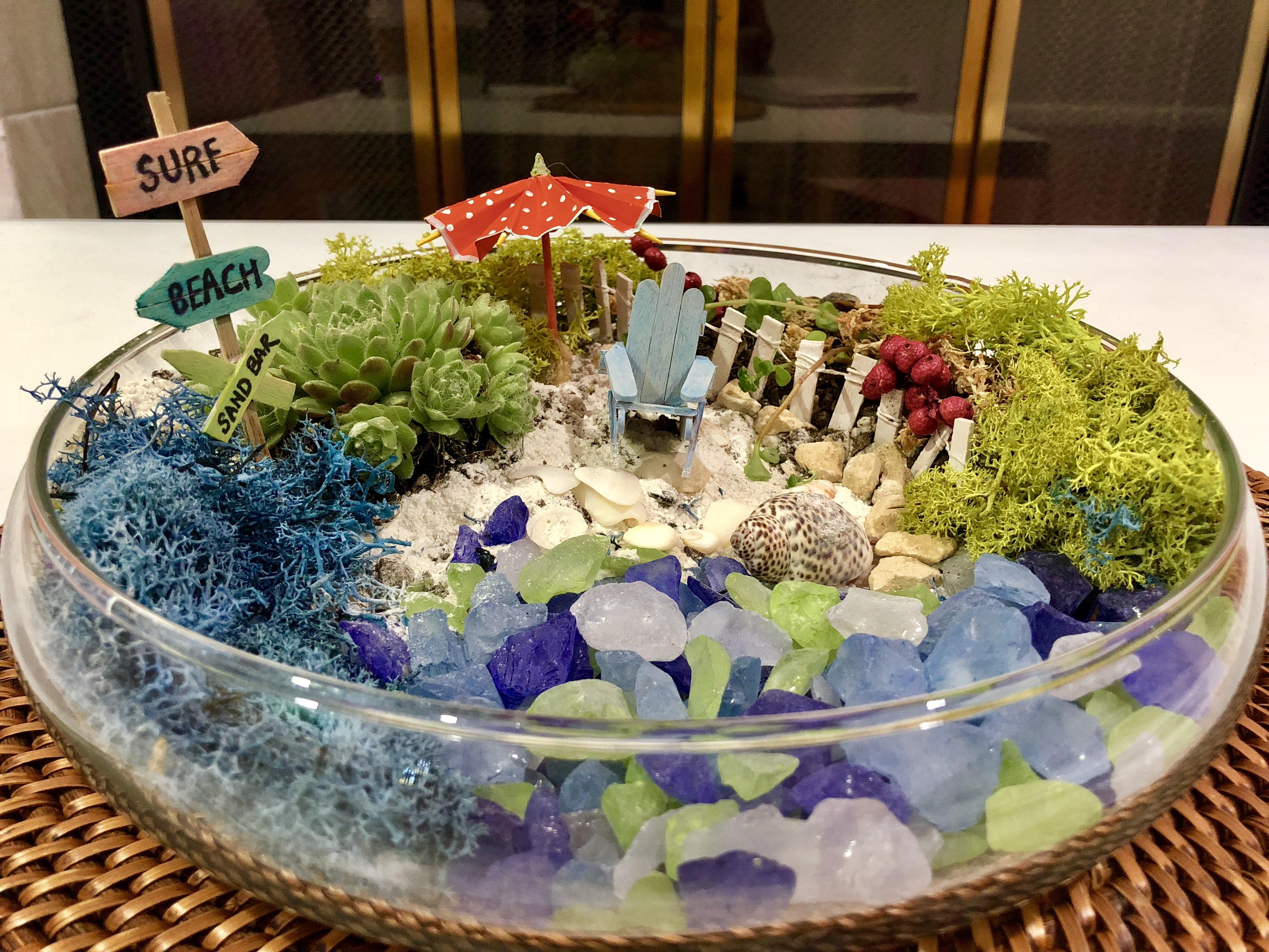Beach theme terrarium. Also made those accessories myself ( r/terrariums