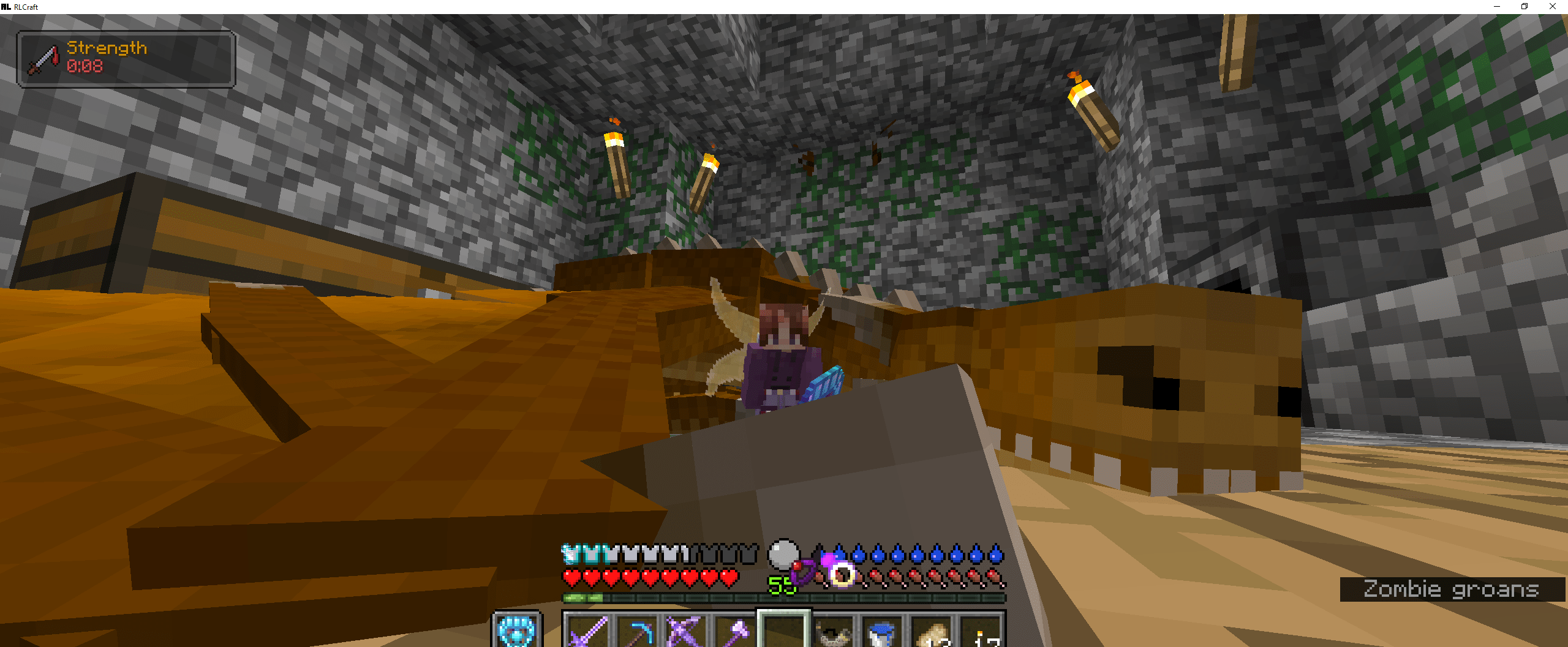 Selfindulgent post with my first dragon pet 🥺 r/RLCraft