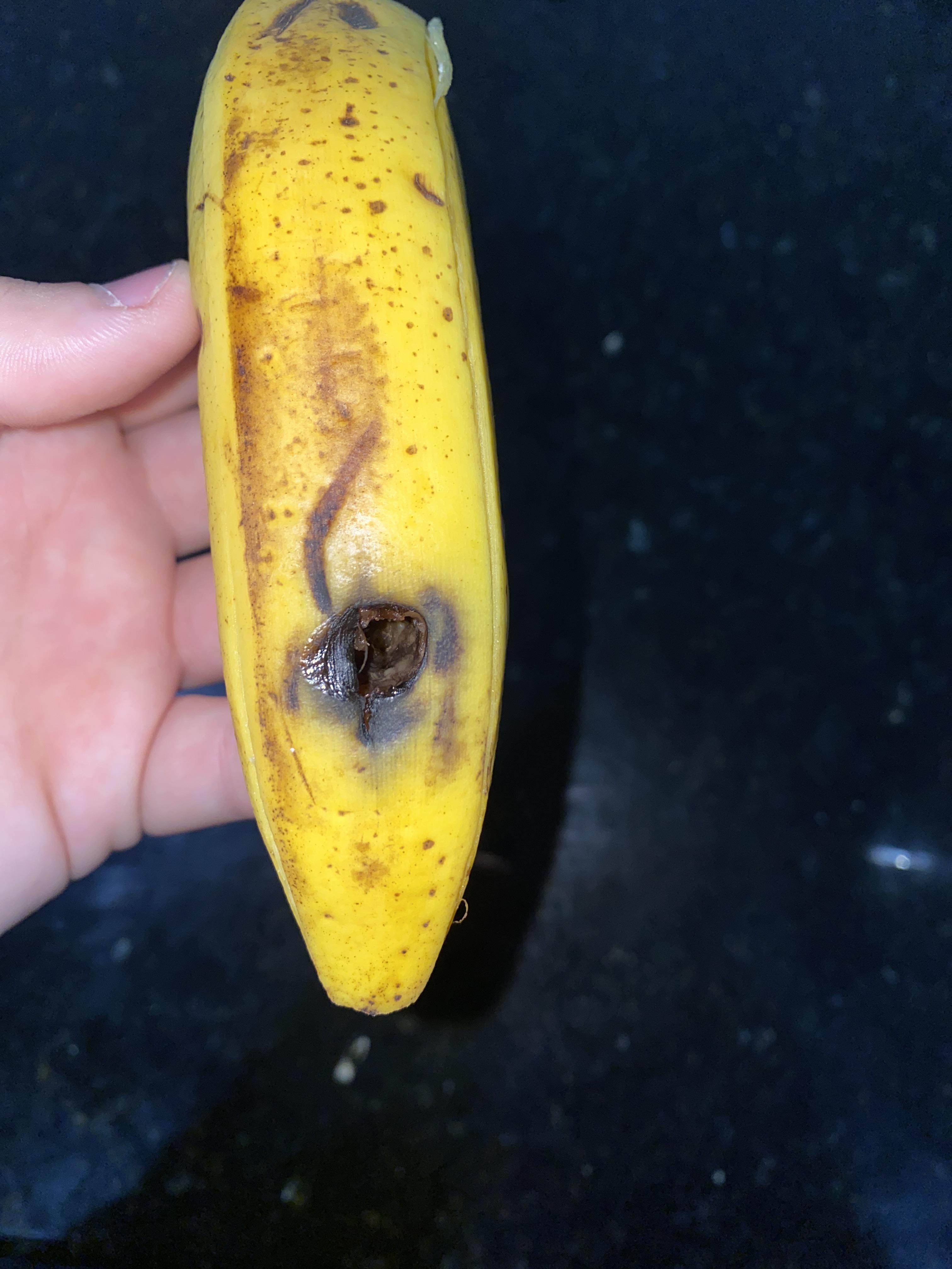 What is this hole in my banana? Is it caused by some type or insect