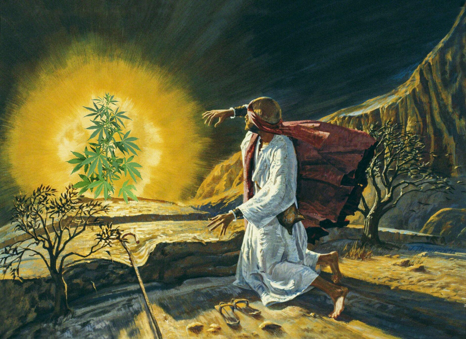 Moses and the burning kush. r/exmormon