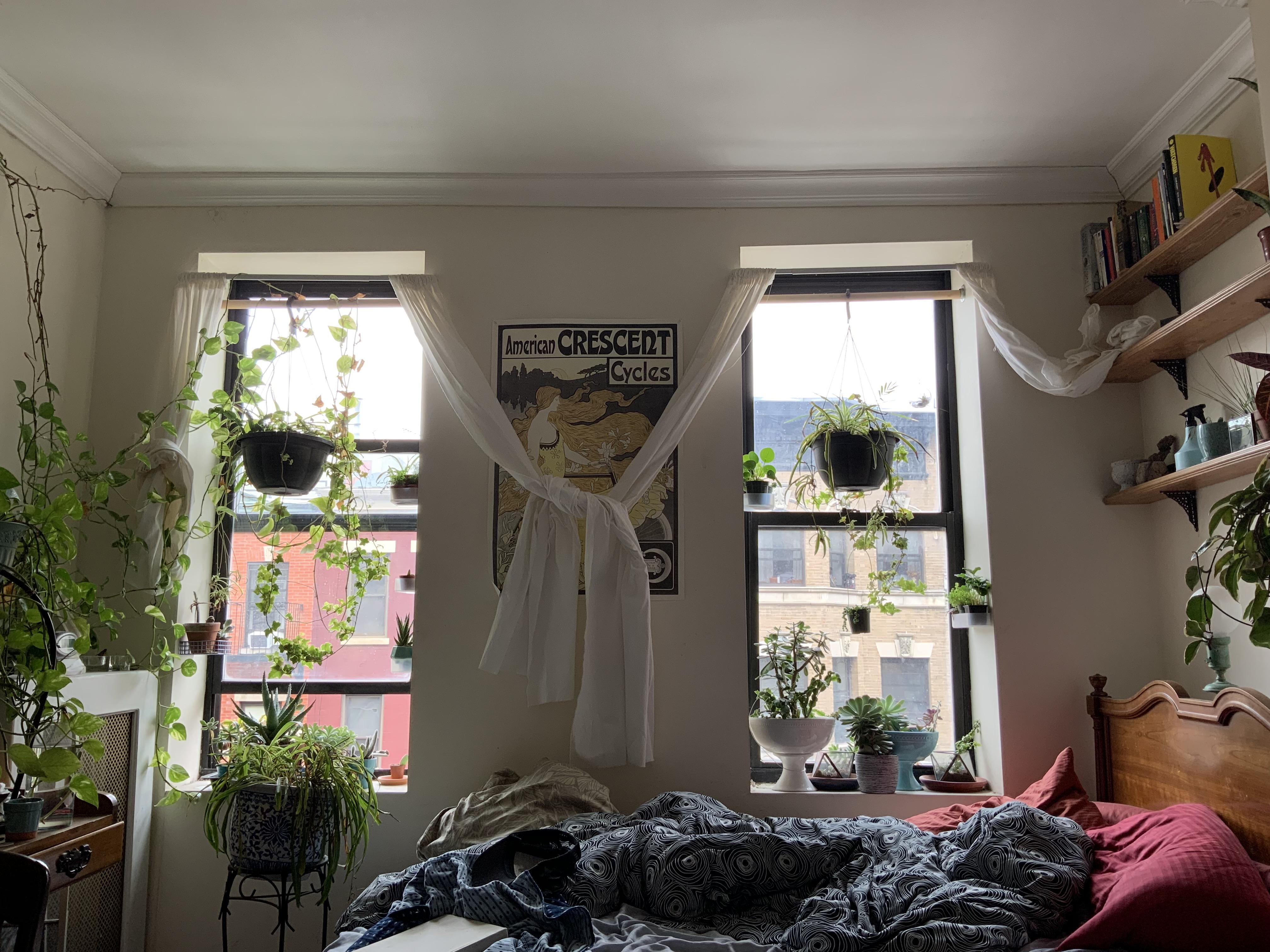 Not sure I can fit more plants into my tiny Nyc apartment r/houseplants