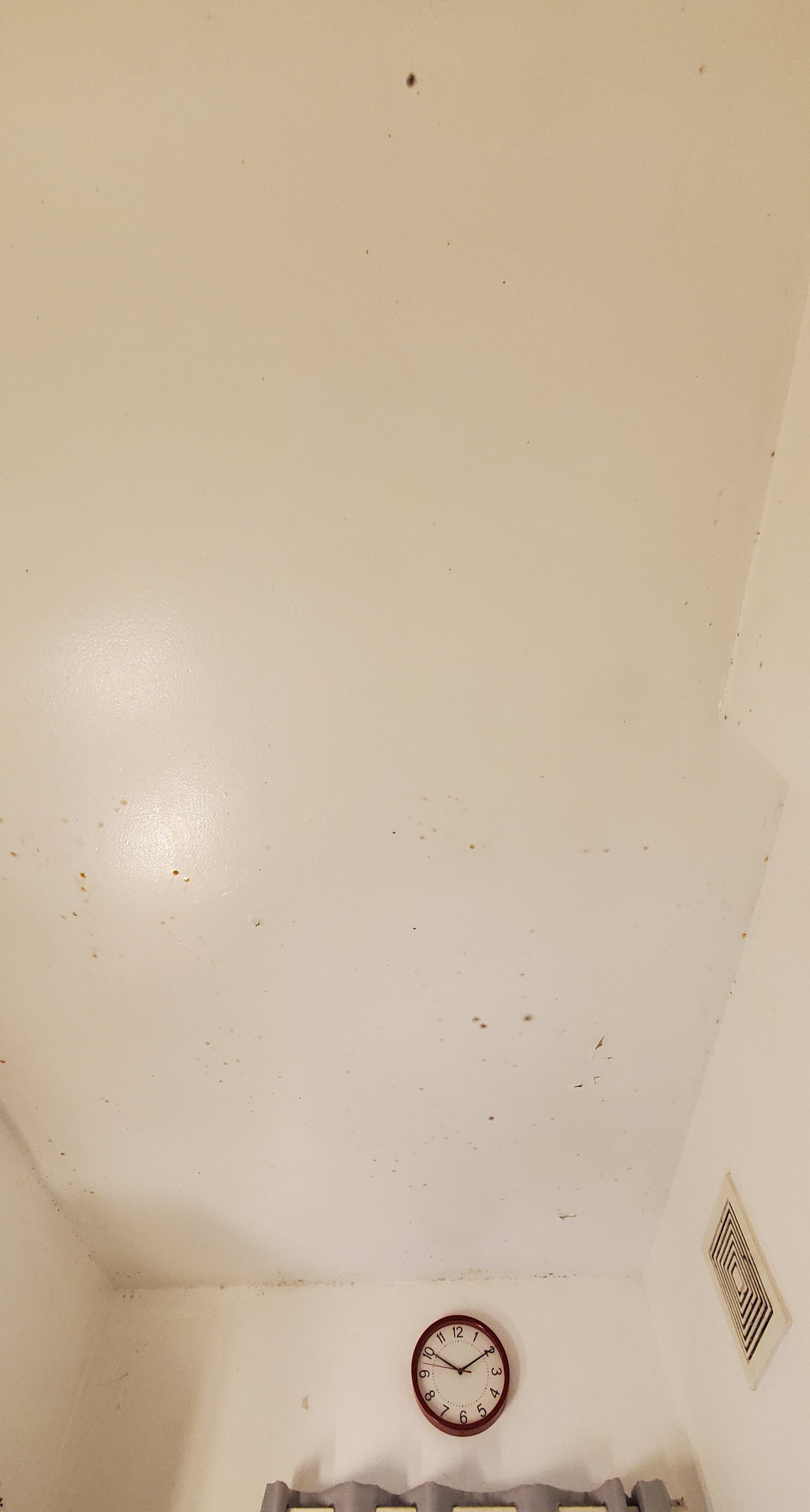 The vent hasn't been extracting steam during showers and now it's