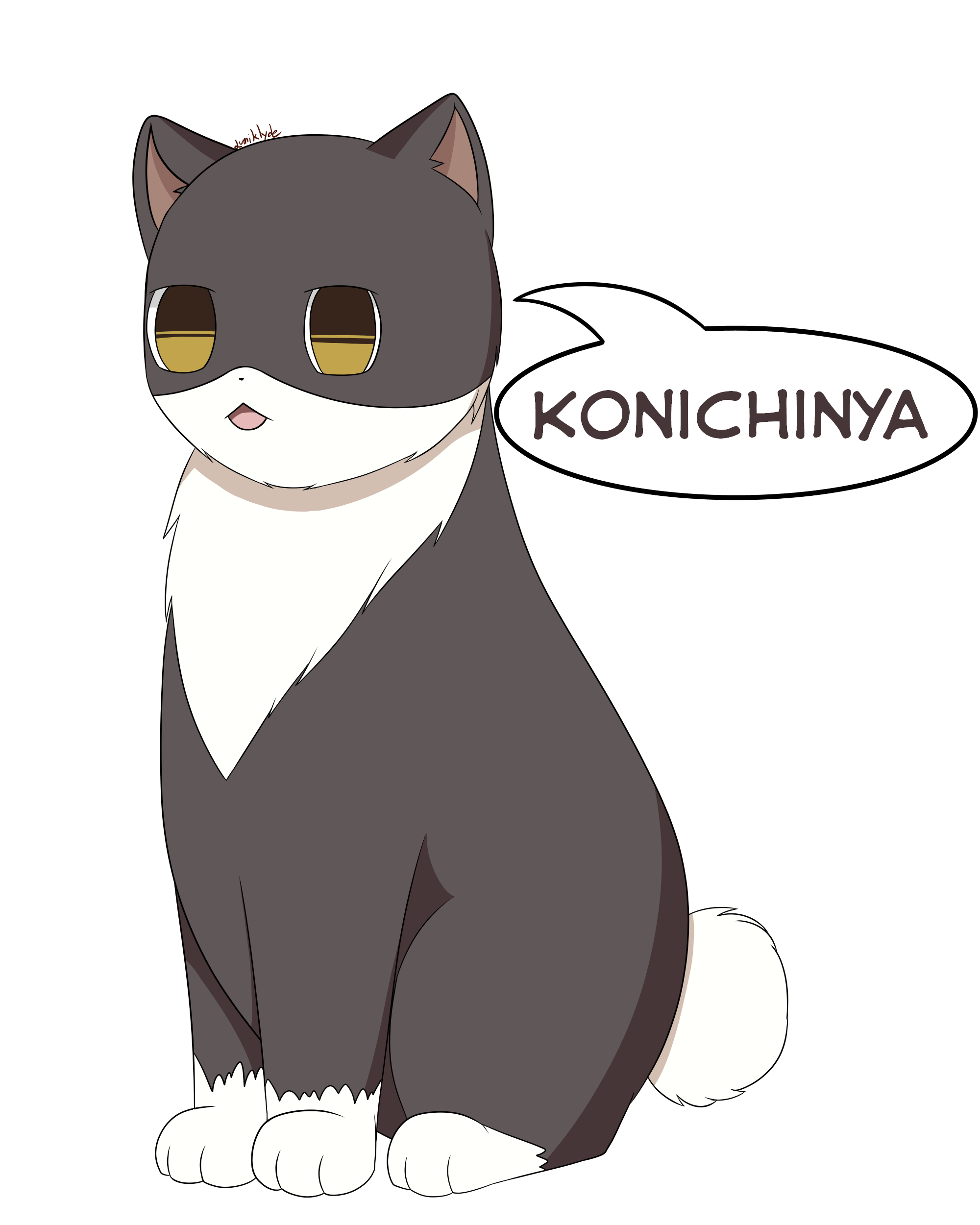 Japan Cat r/hetalia