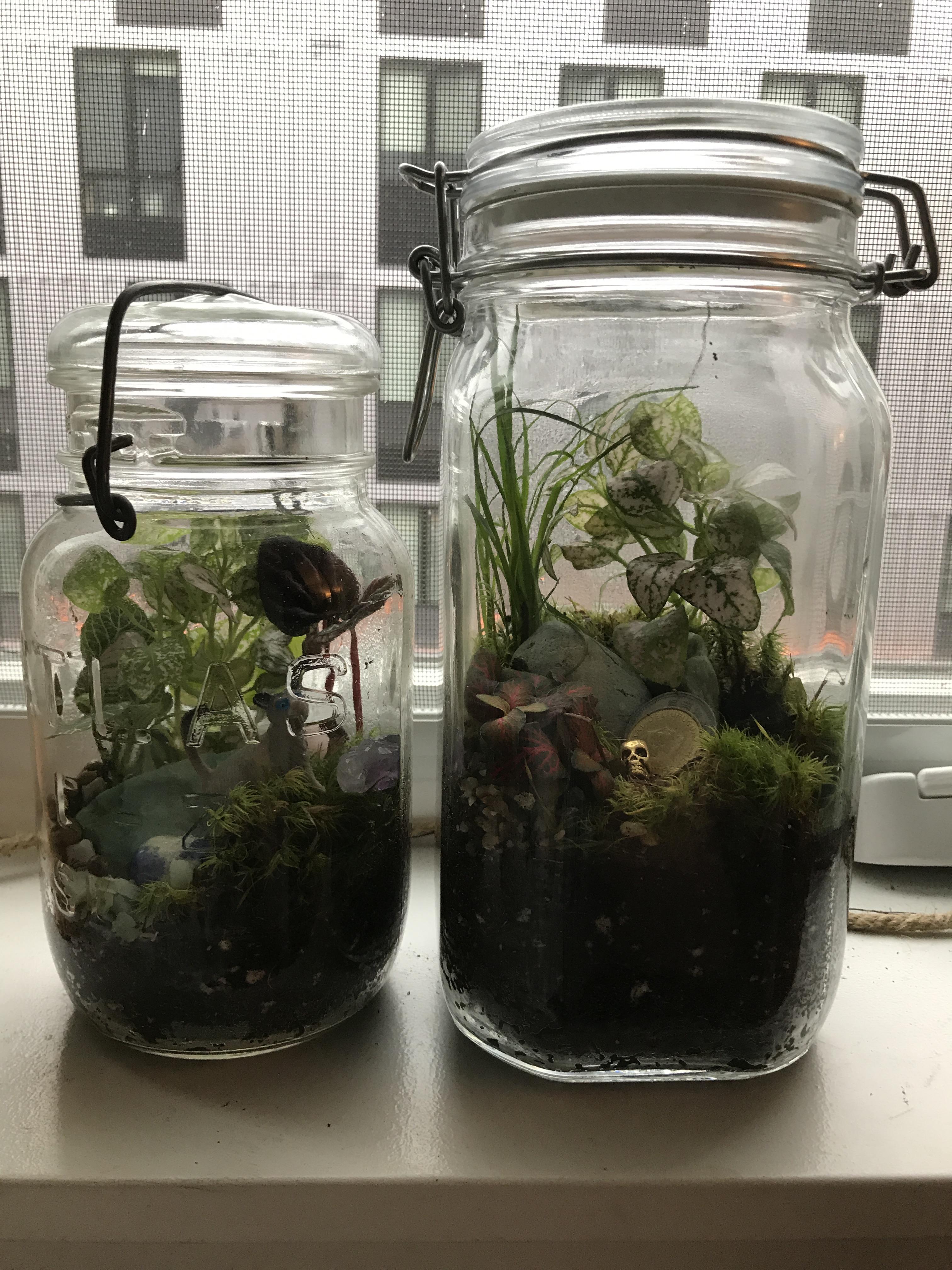 Roosevelt’s Terrarium build, Portland, OR. Description in comments. r