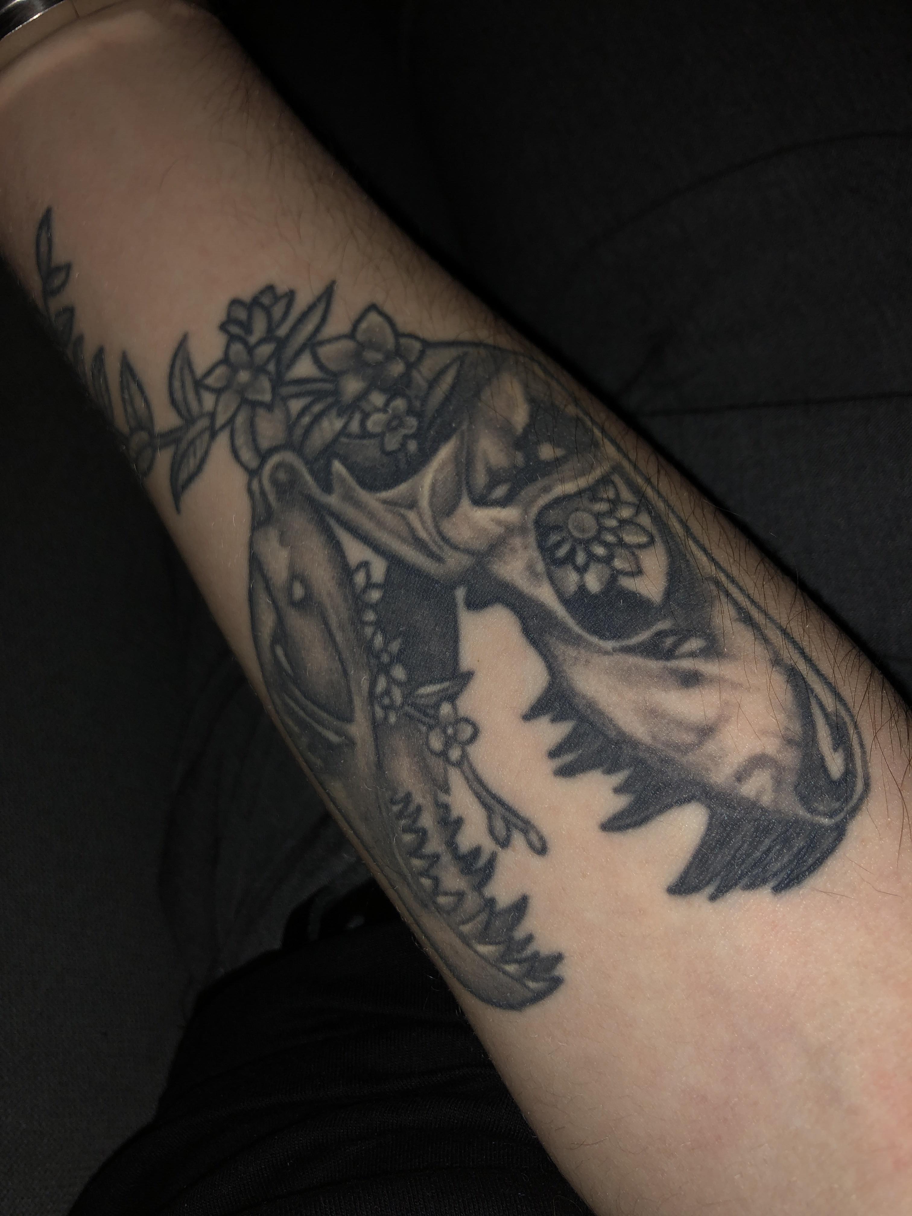 My 1 Year Old Tyrannosaurus Rex Tattoo :) : R/Dinosaurs 4032_x_3024_jpg