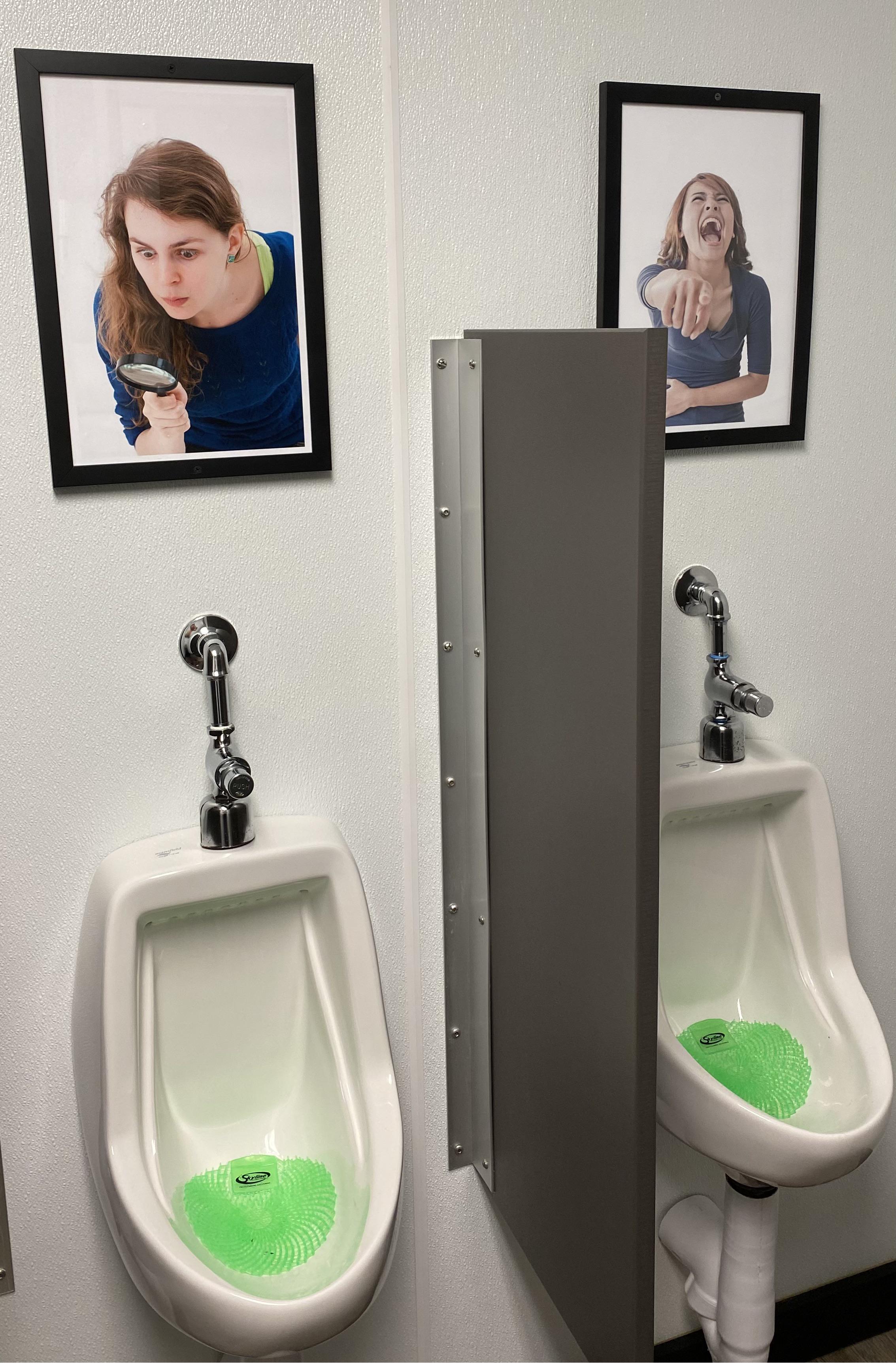 these urinals at a local bar r/funny