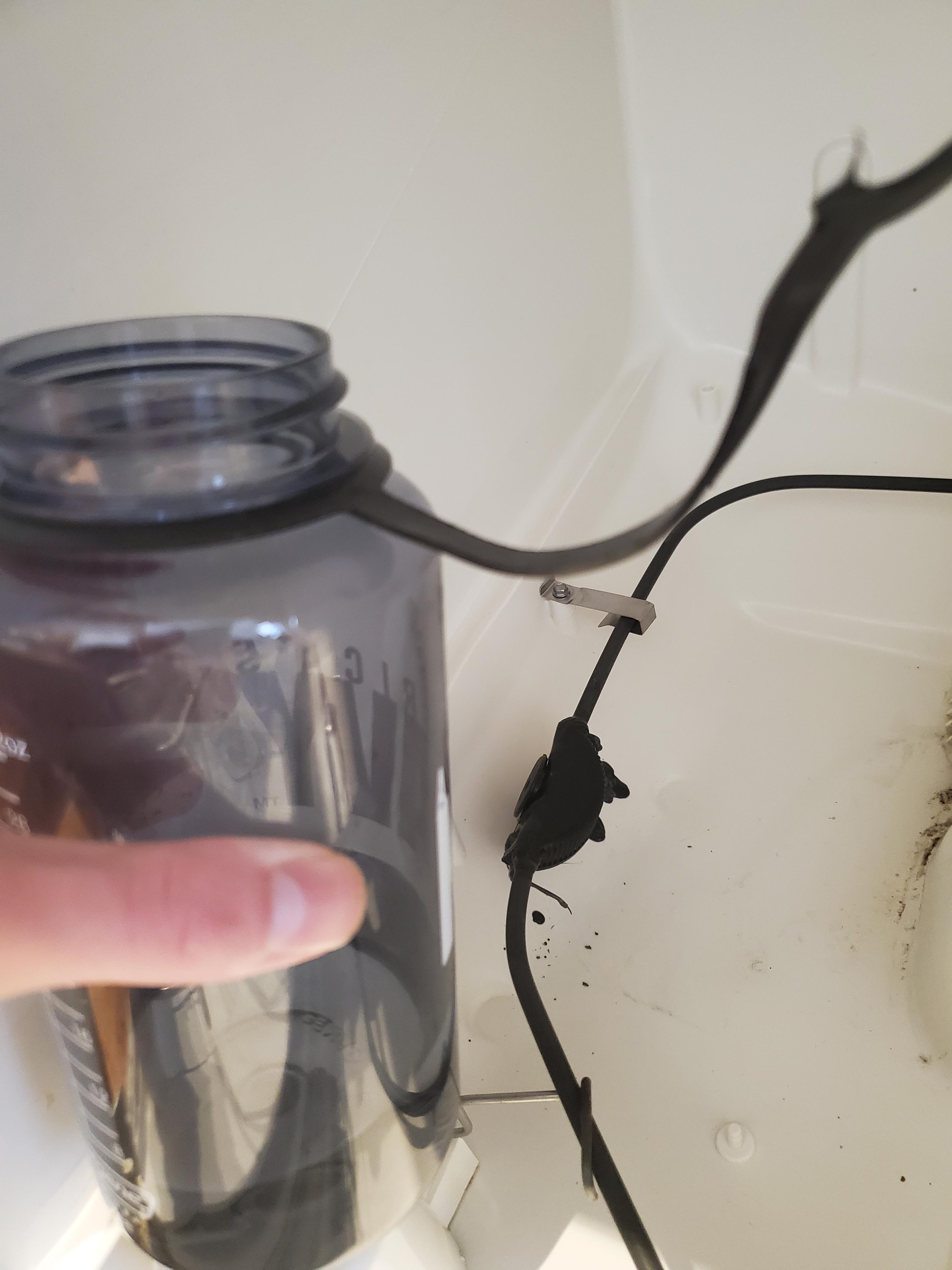 My Nalgene lid melted in my dishwasher. Wellthatsucks