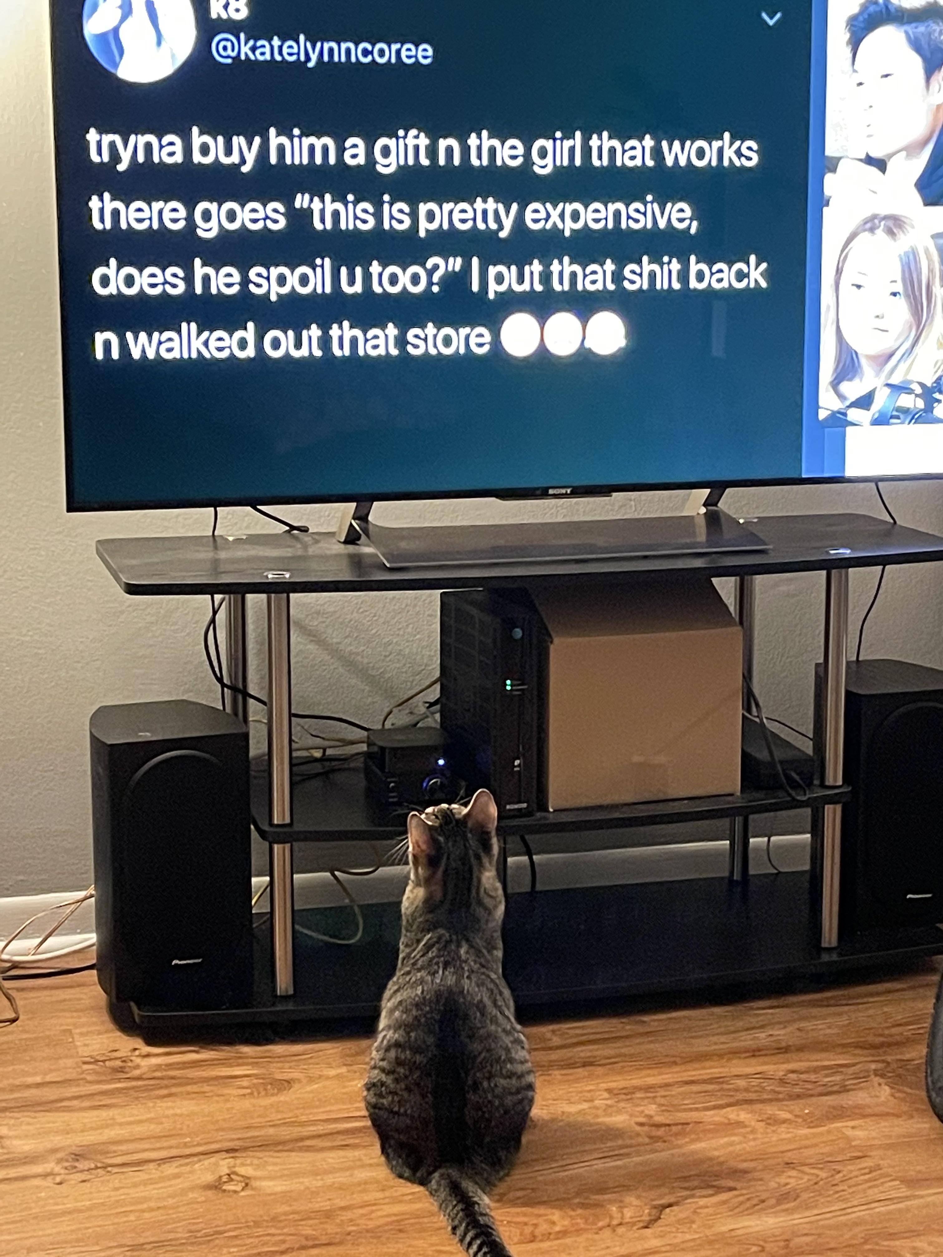 My cat watches mxr too r/MXRplays