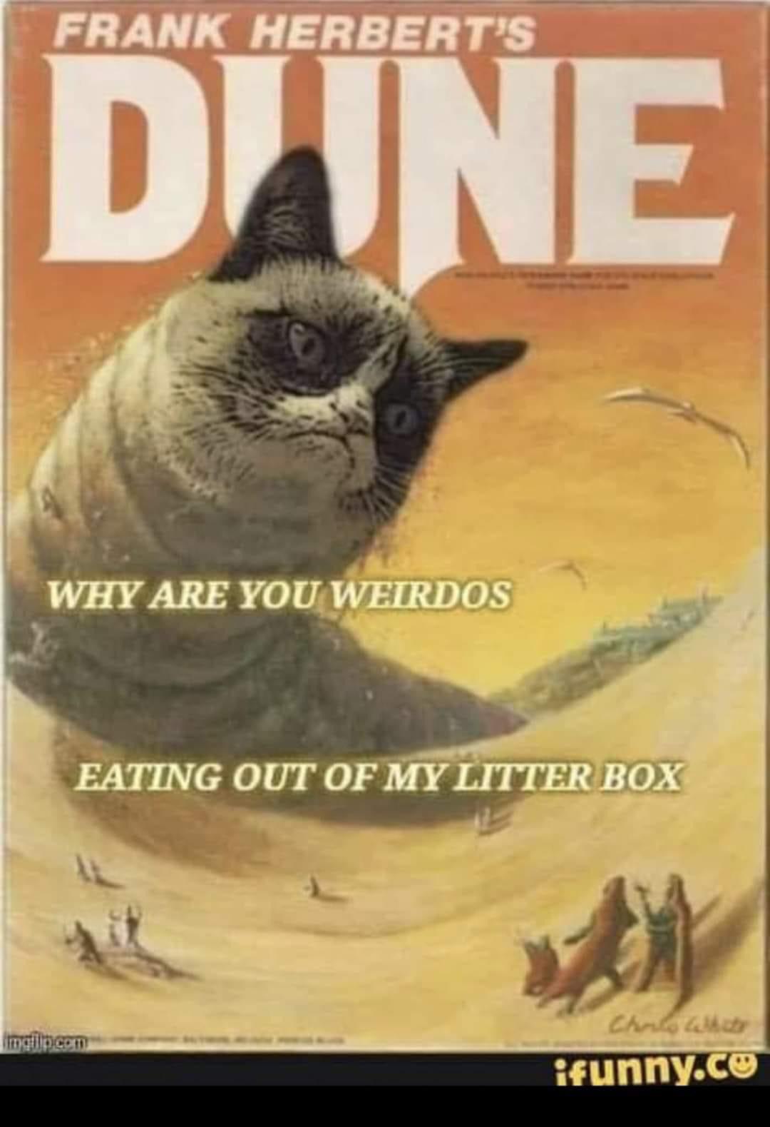 Get Off My Sand! r/dunememes