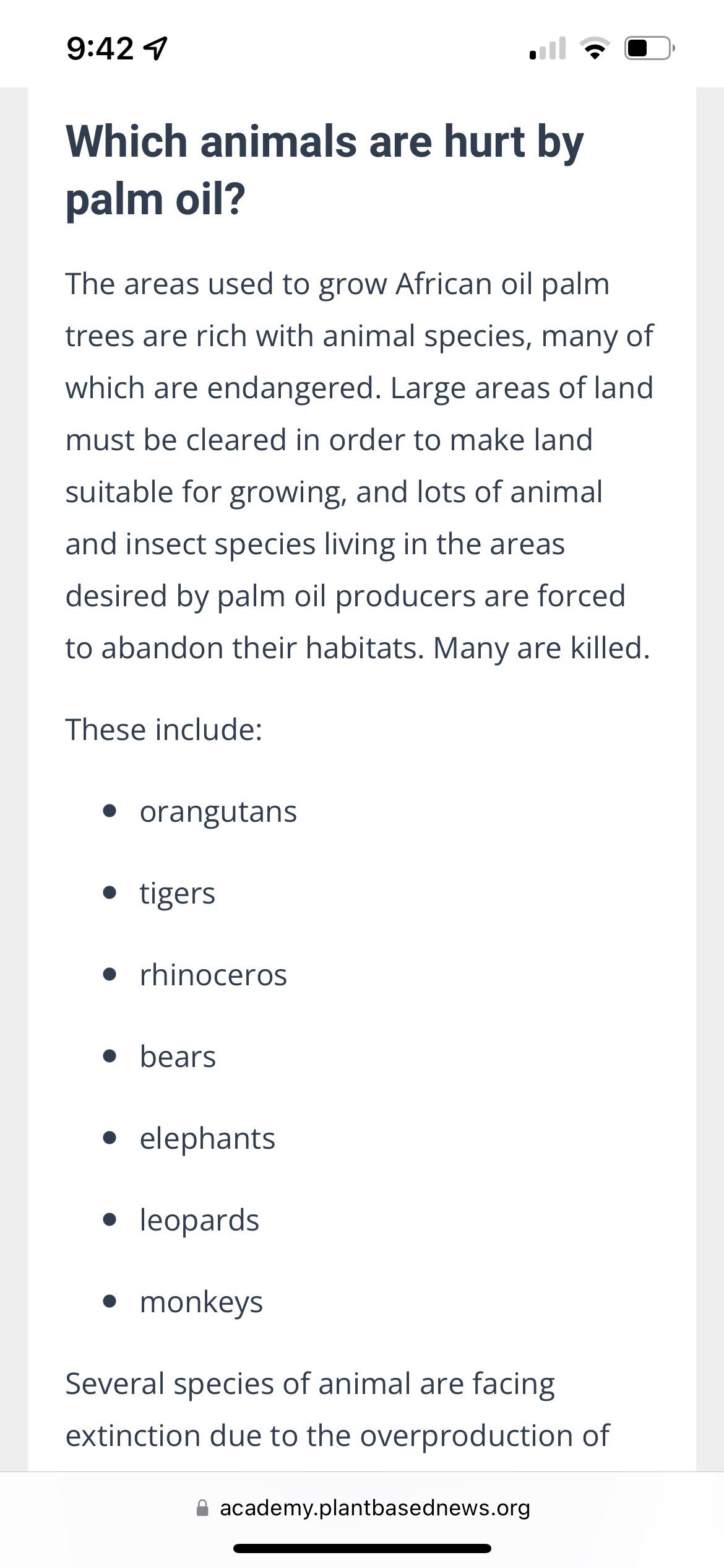 In case anyone didnt know, why PALM OIL IS NOT VEGAN AND VEGANS DONT