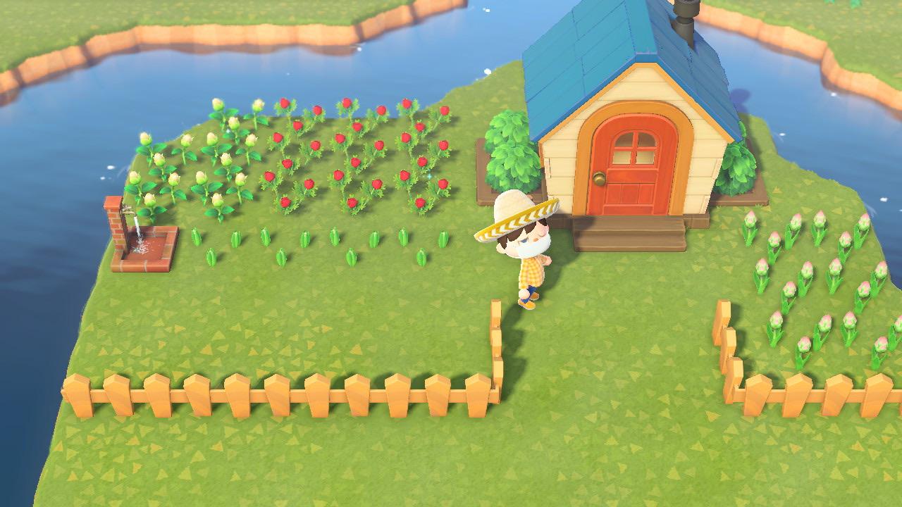 I’ve been working on my little homestead, but I would love some tips