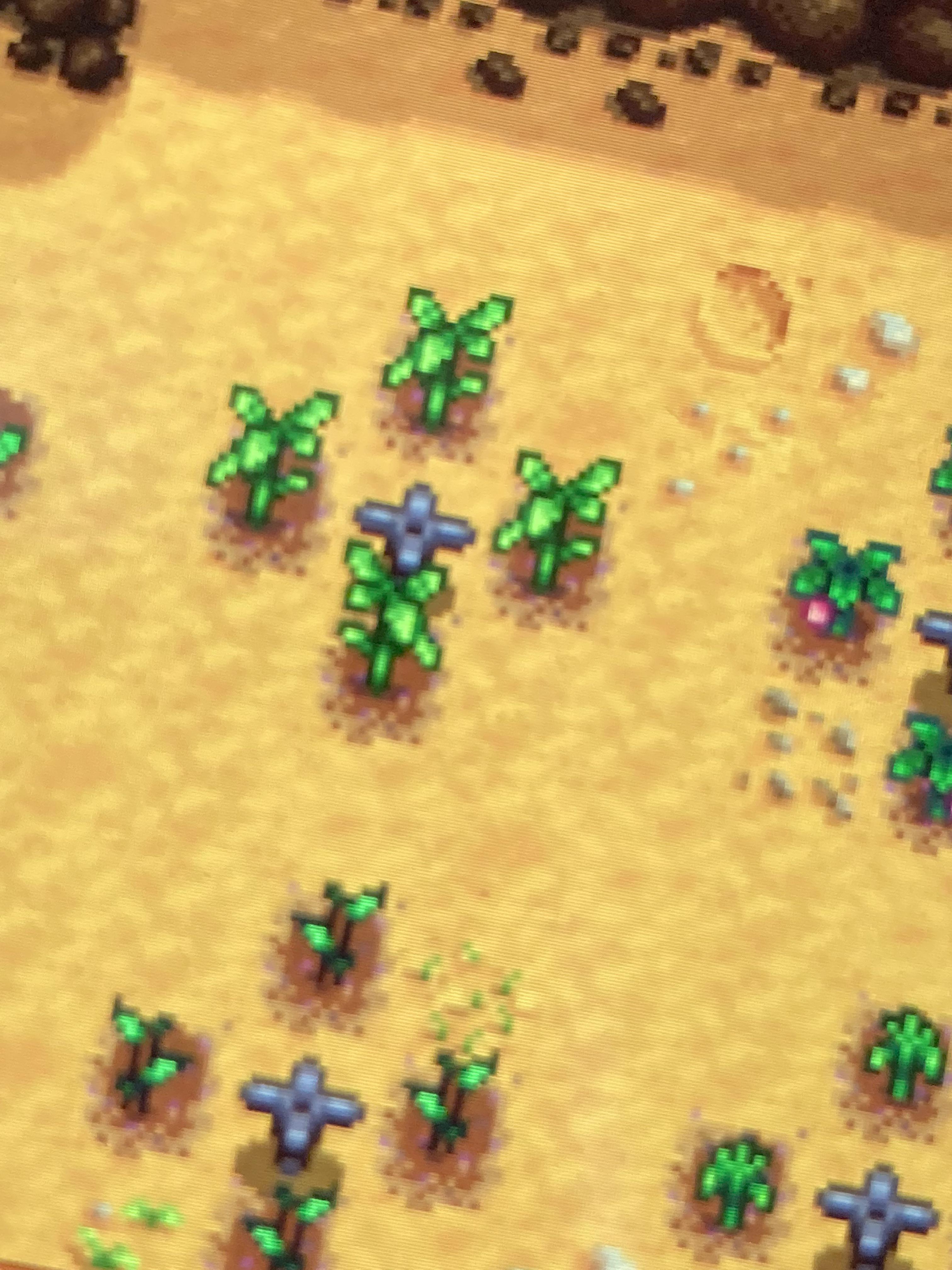 if i place 4 trees (not fruit) in this way, will they all grow? i rlly