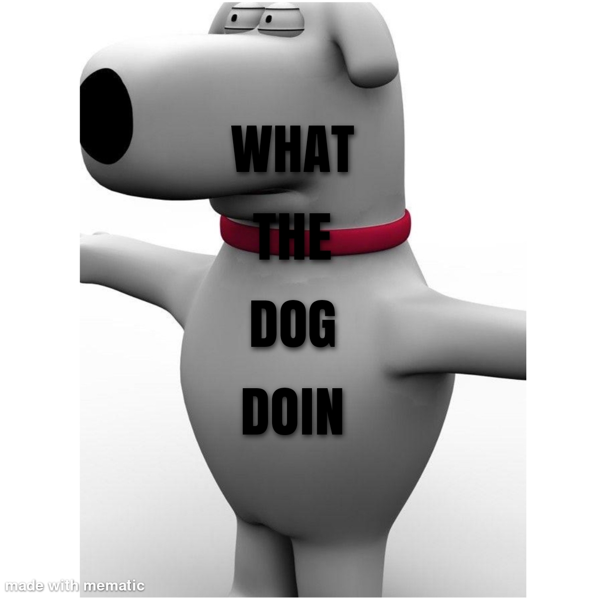 WHAT THE DOG DOIN? r/loweffortmemes