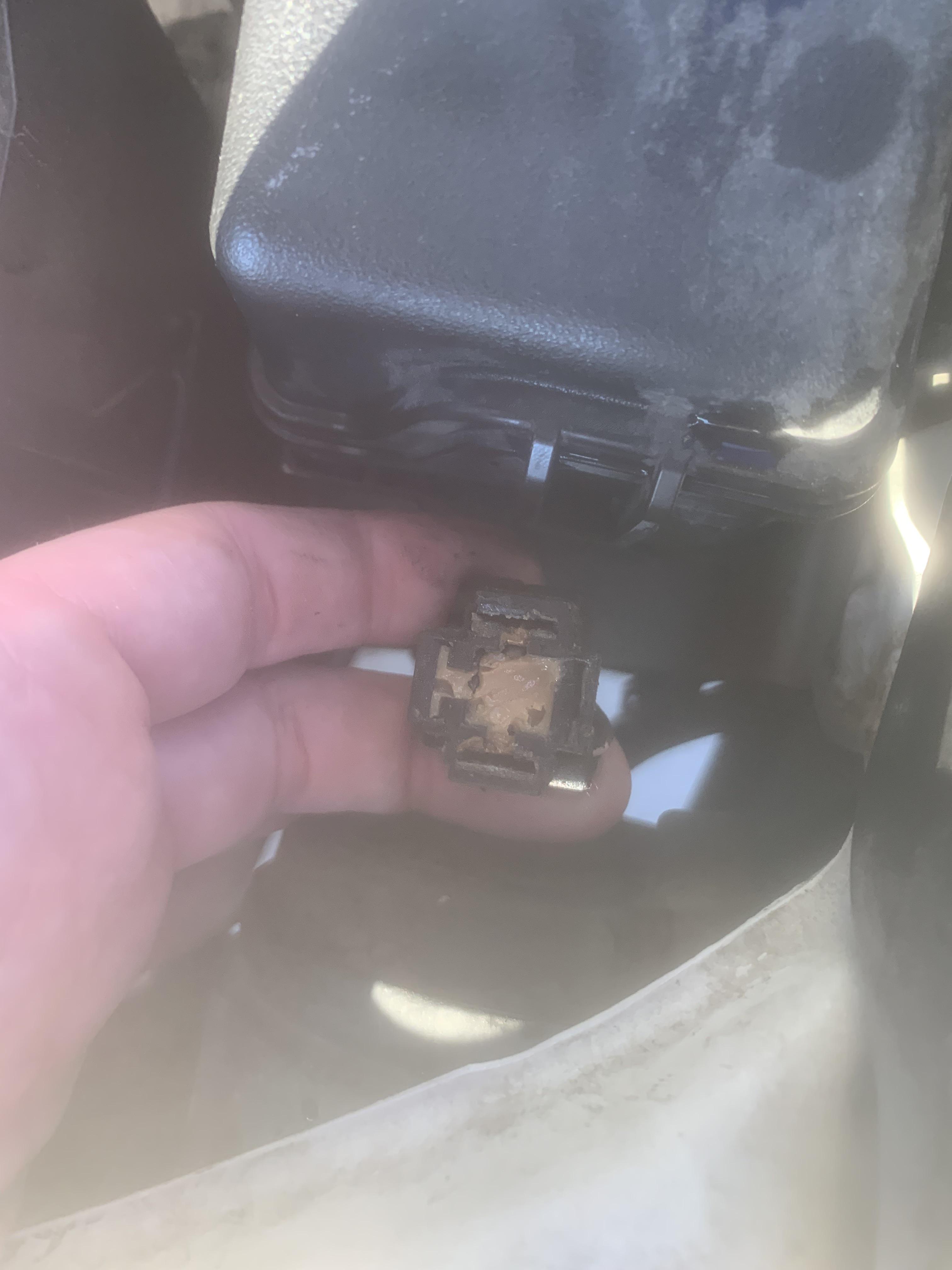 Is this grease in my headlight plug ? r/MechanicAdvice
