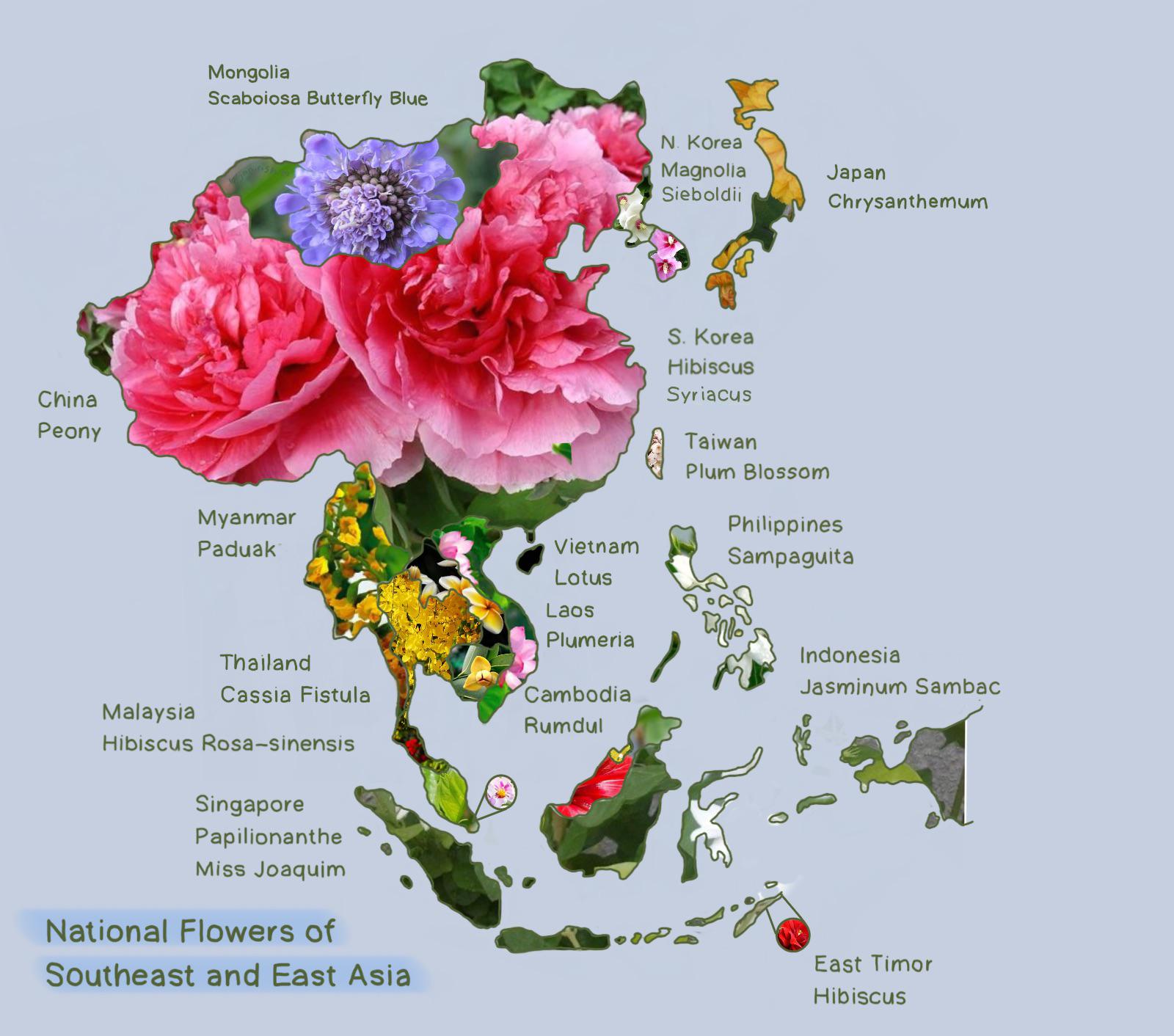 oc, national flowers of southeast and east asia r/MapPorn