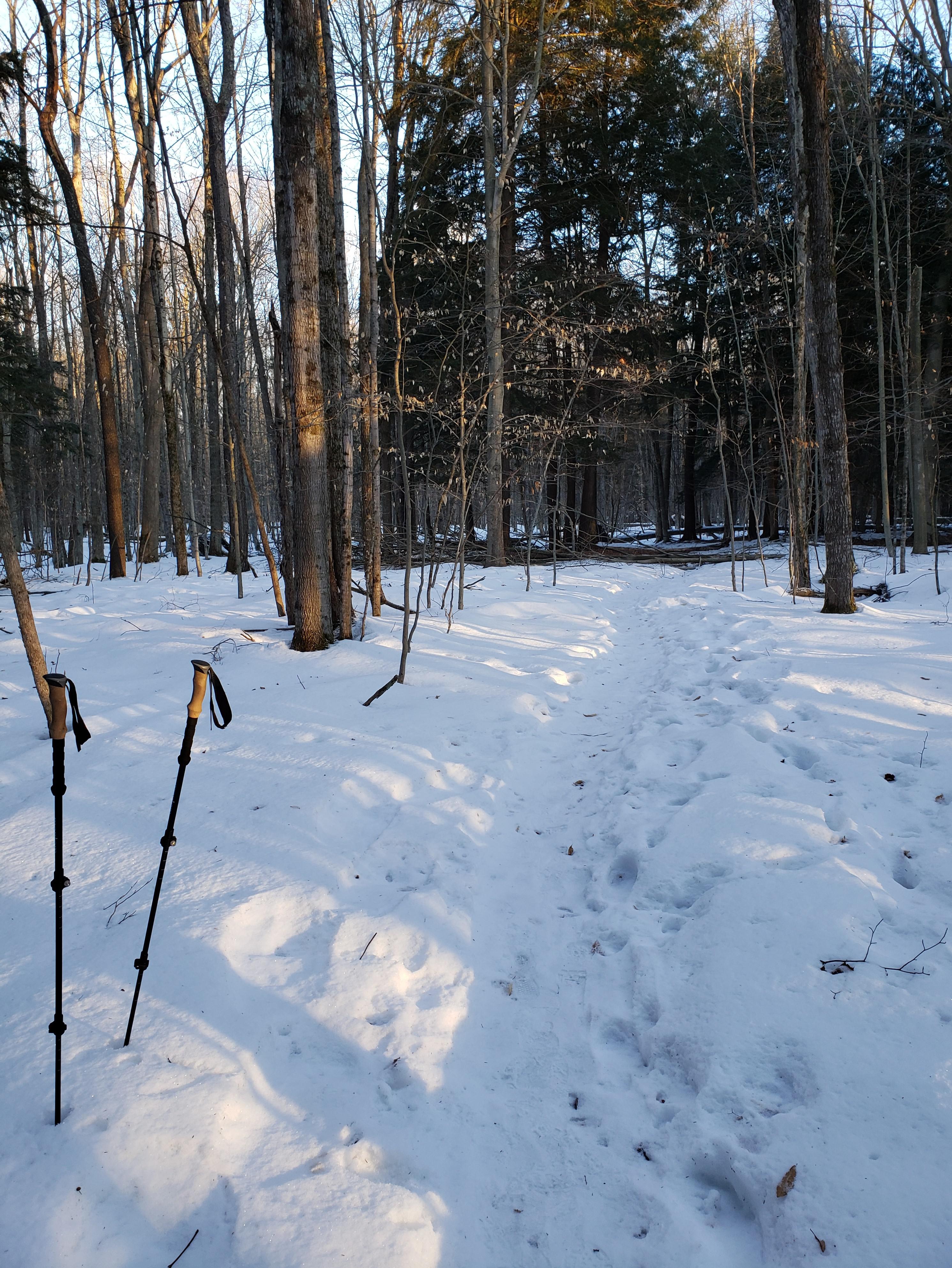 Dispersed camping in west Michigan (preferably north of Grand Rapids